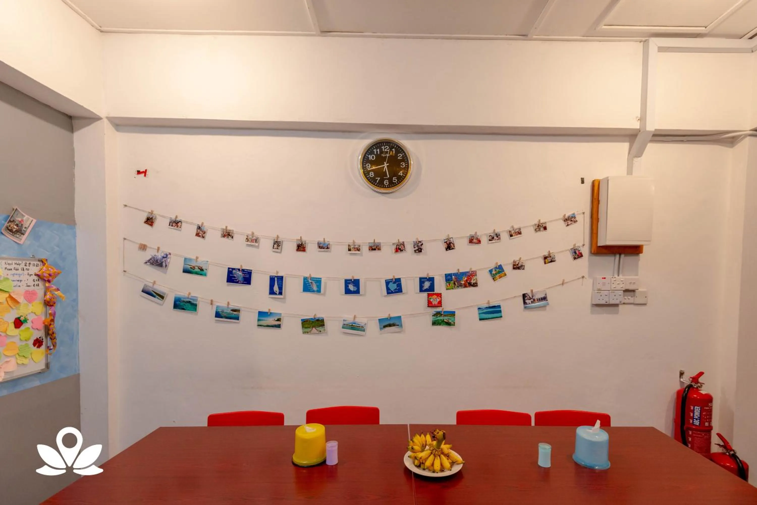 Restaurant/places to eat in Island Backpackers