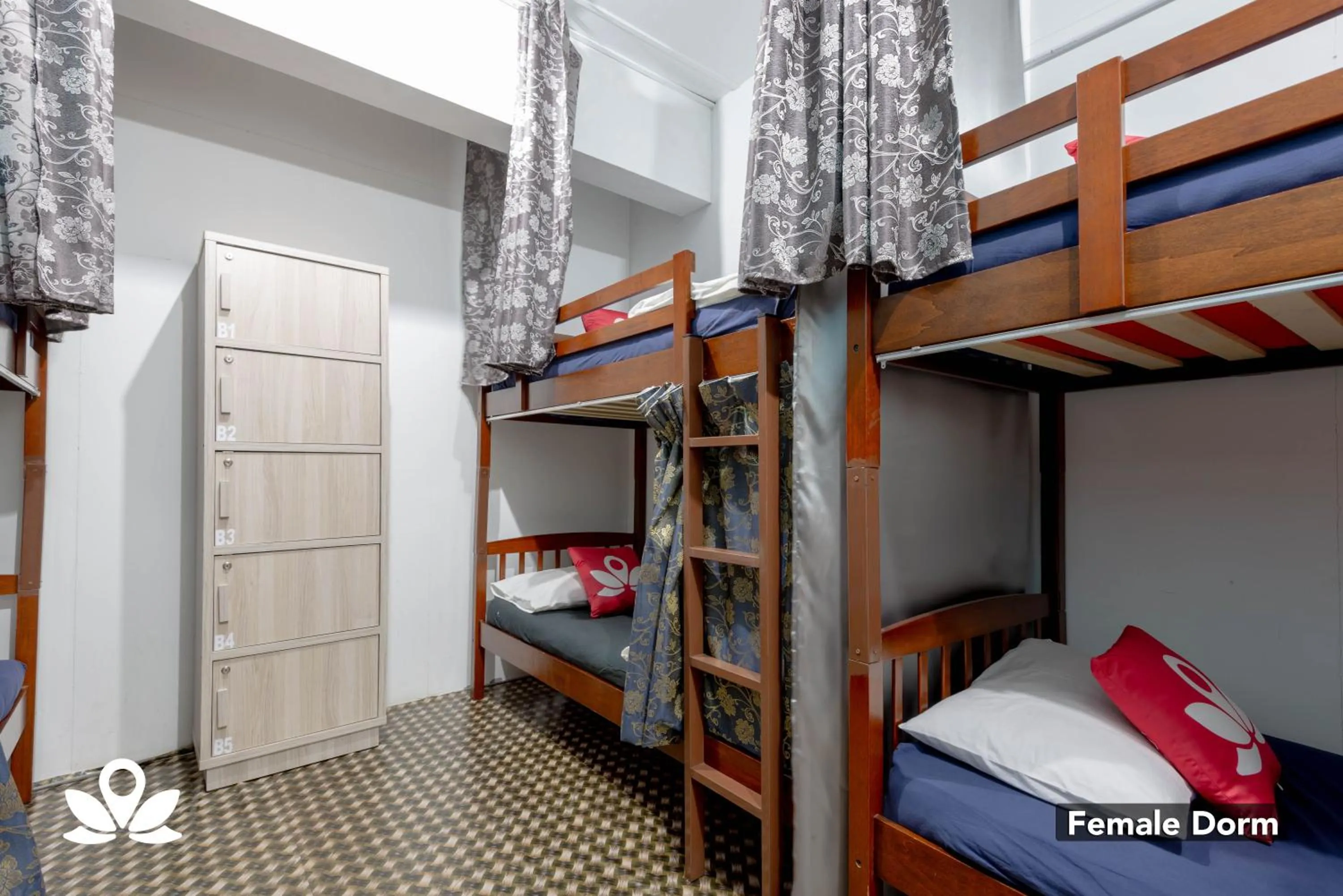 bunk bed, Bed in Island Backpackers