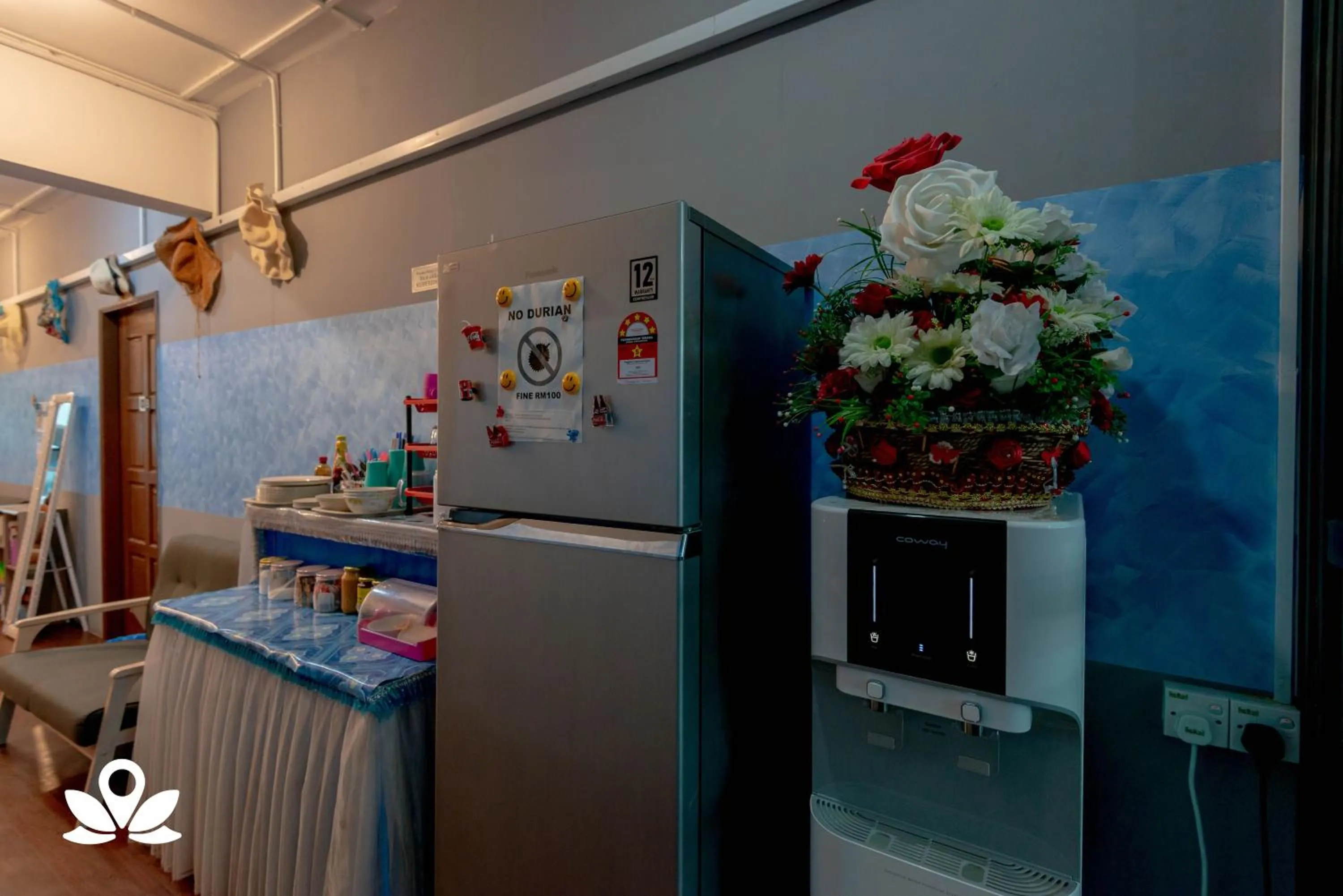 Area and facilities in Island Backpackers