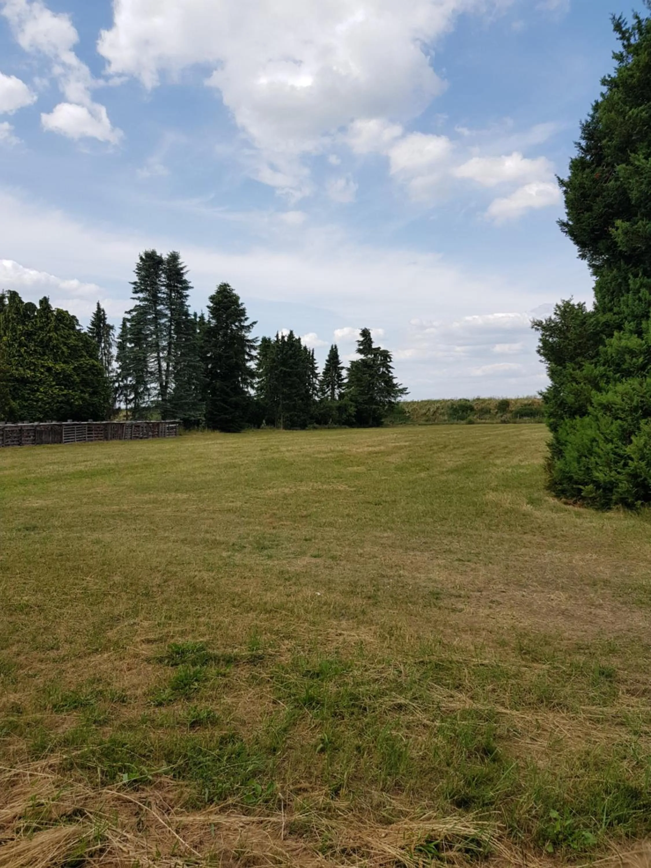 Garden view in Hanse Hotel Buxtehude