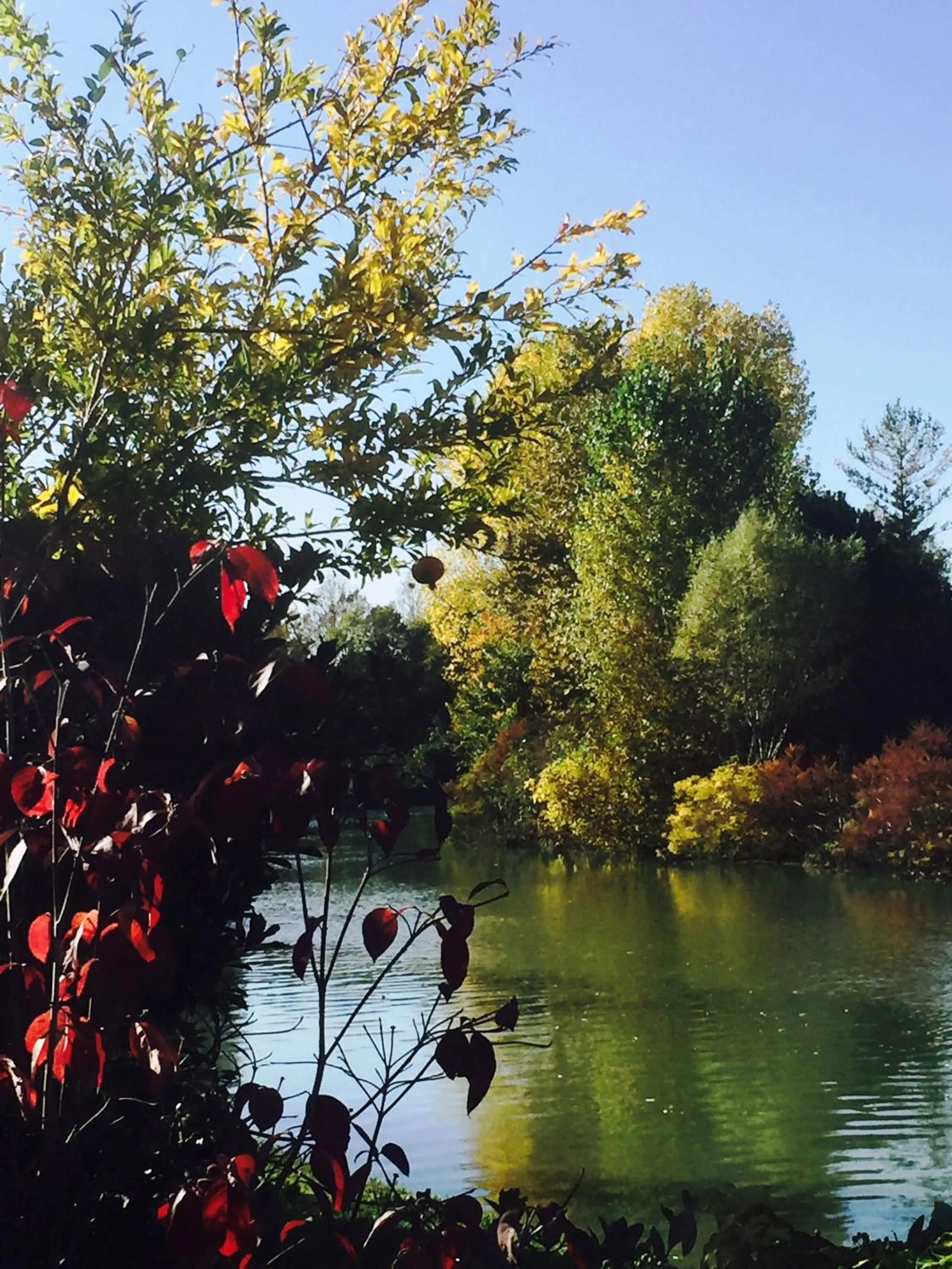 River view in Dimora Naviglio