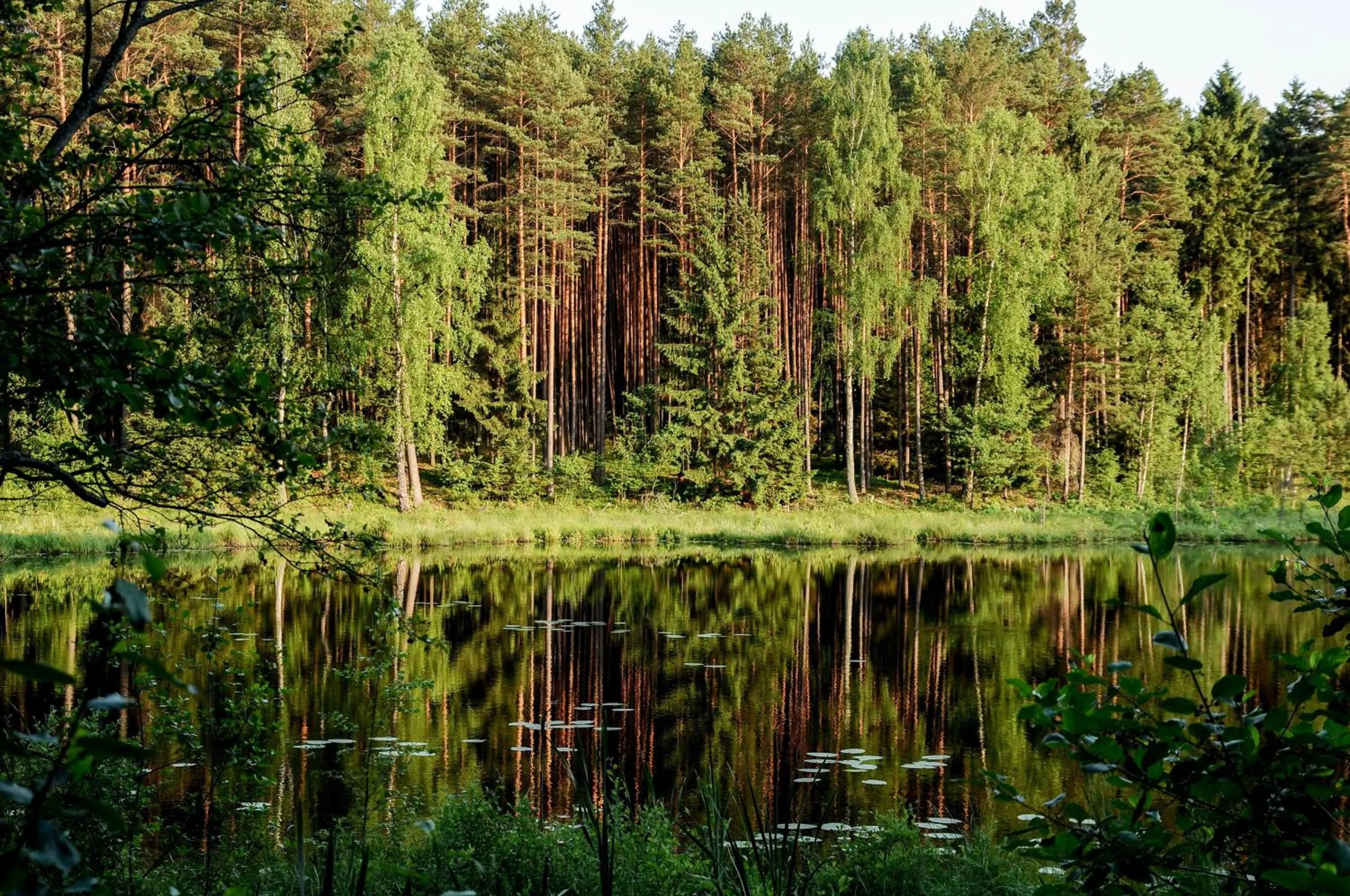 Off site in Przystanek Tleń