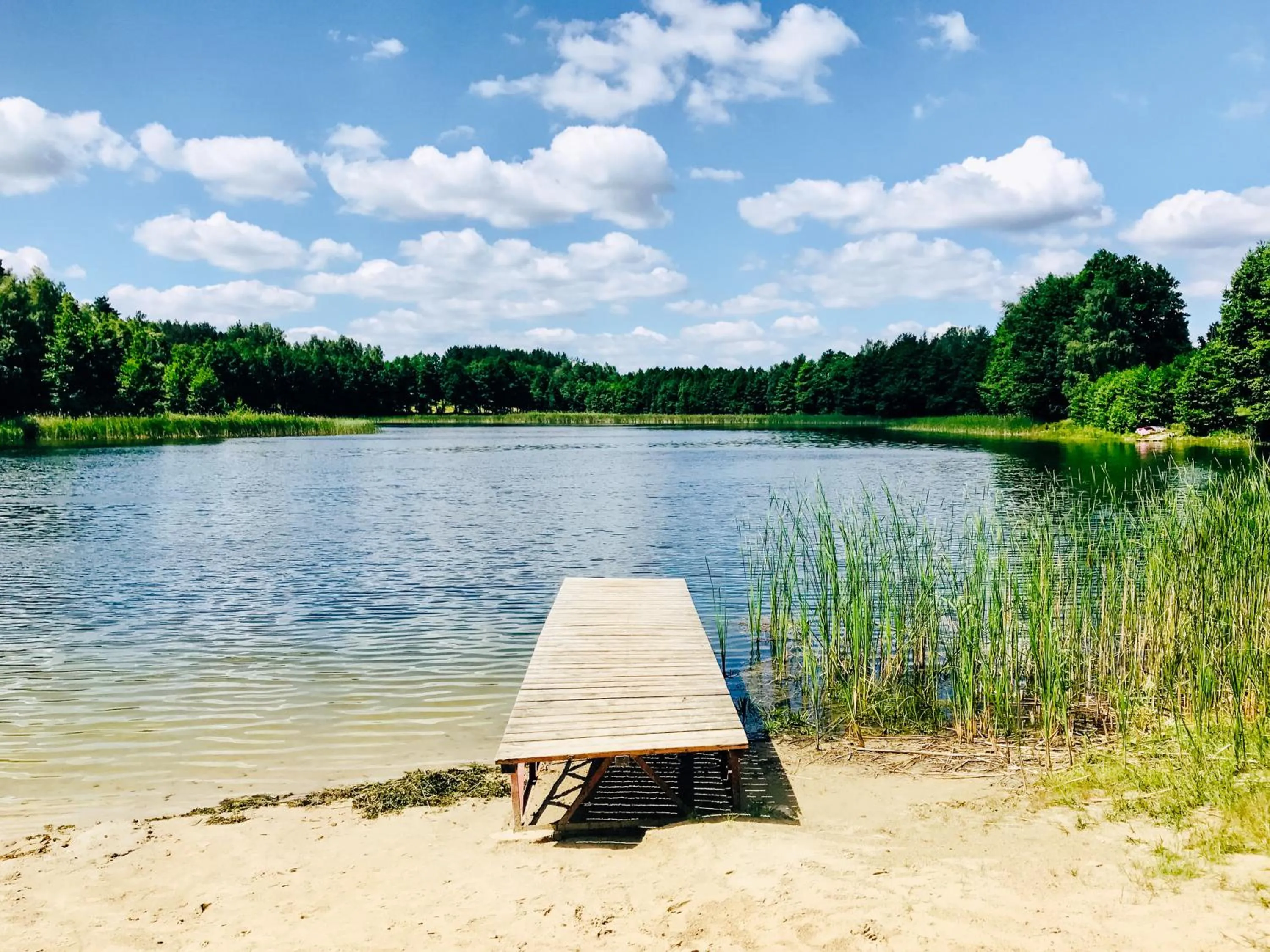 Natural landscape in Przystanek Tleń