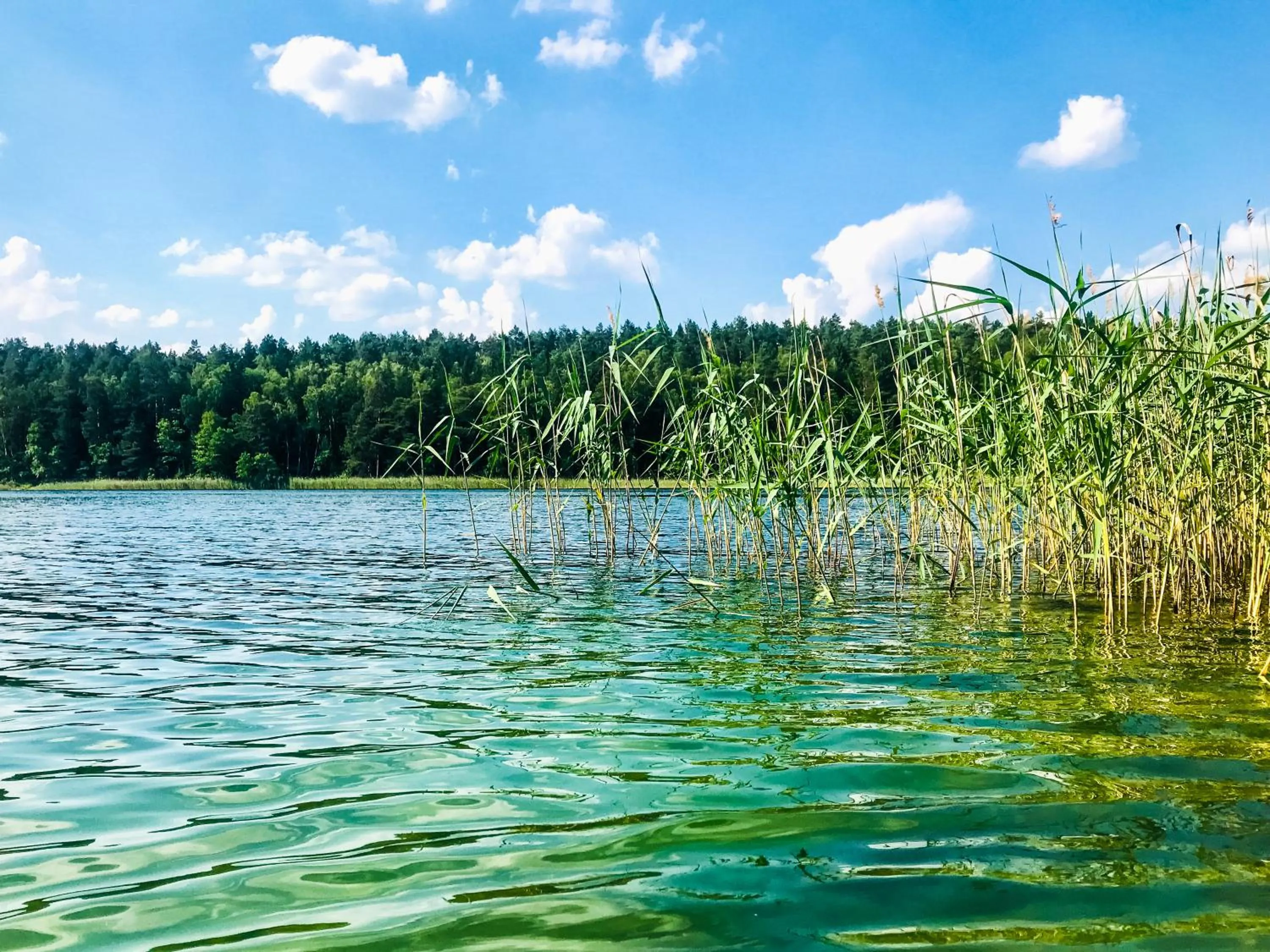 Nearby landmark in Przystanek Tleń