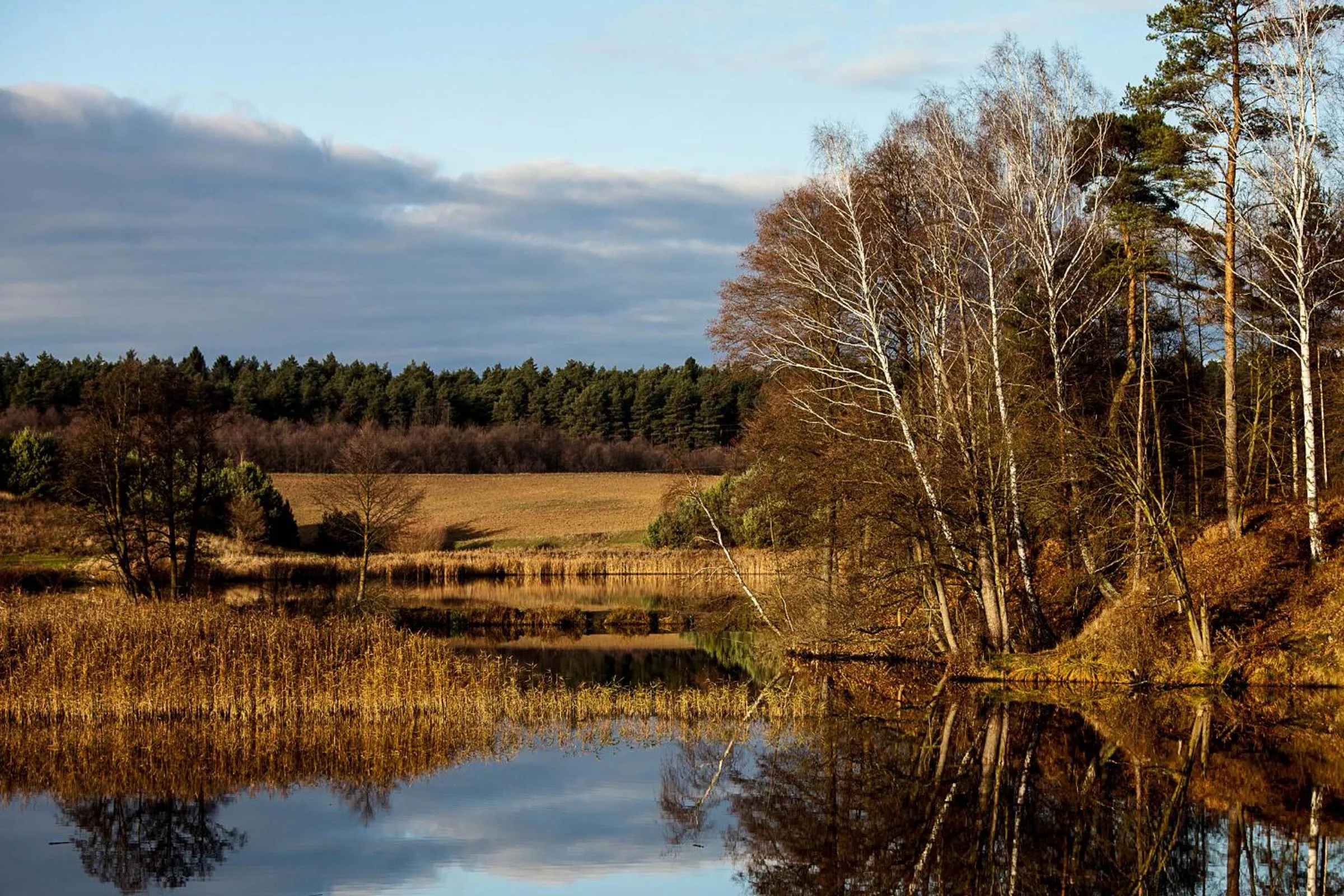 Off site in Przystanek Tleń