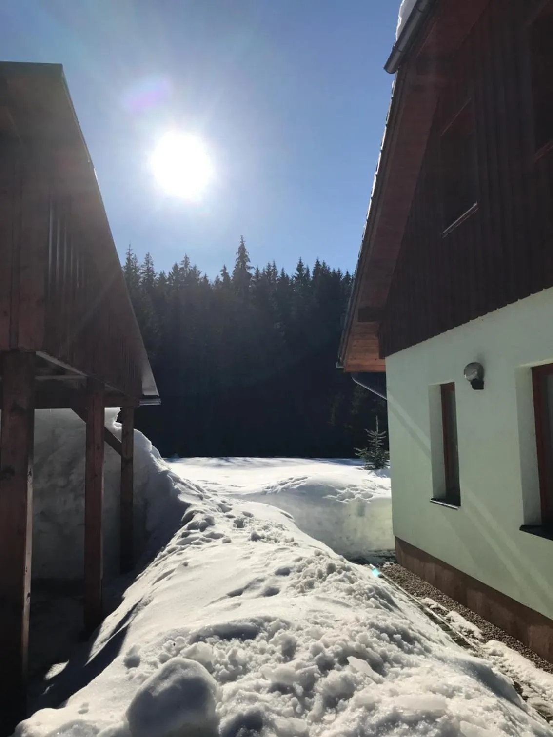 Harrachov 571