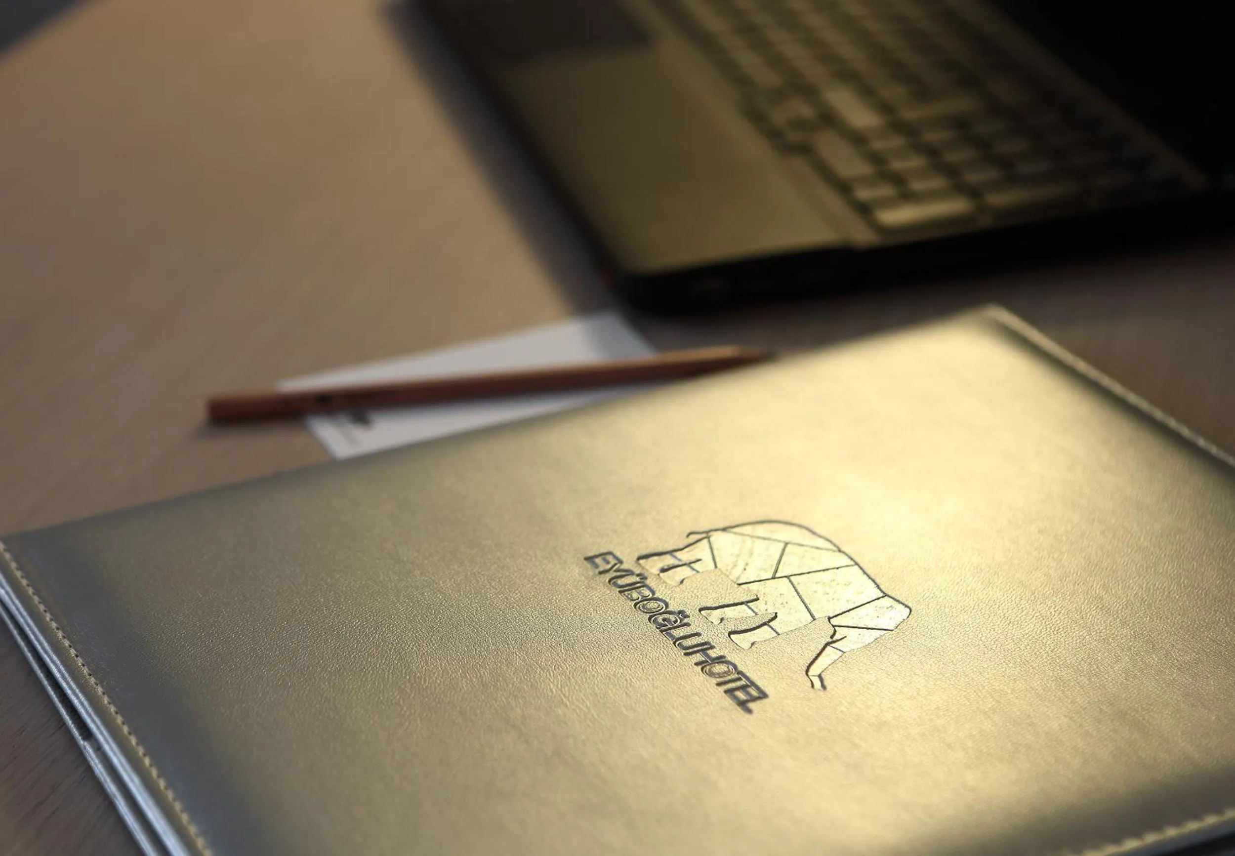 Property logo or sign in Eyuboglu Hotel