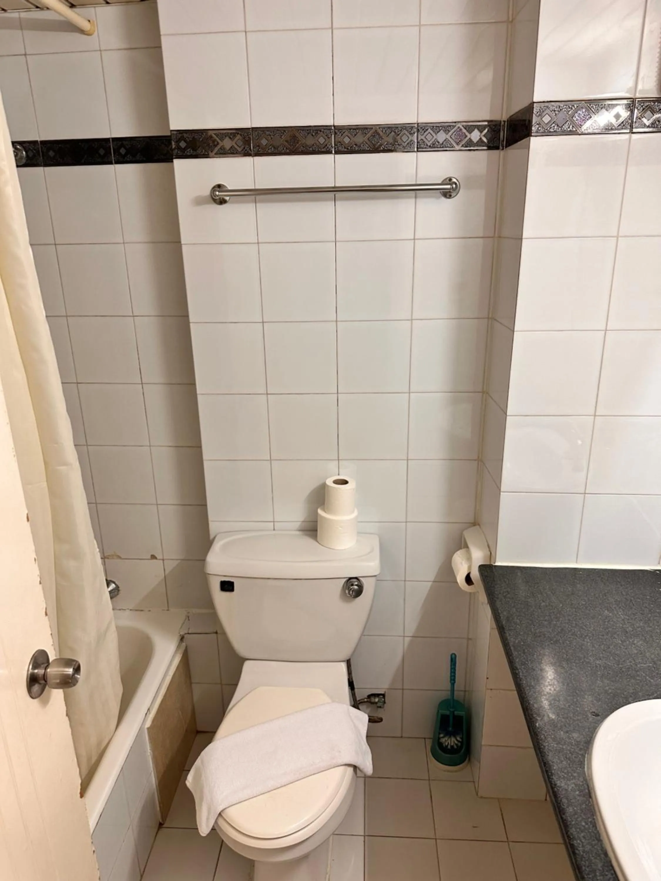 Toilet in San Remo Hotel