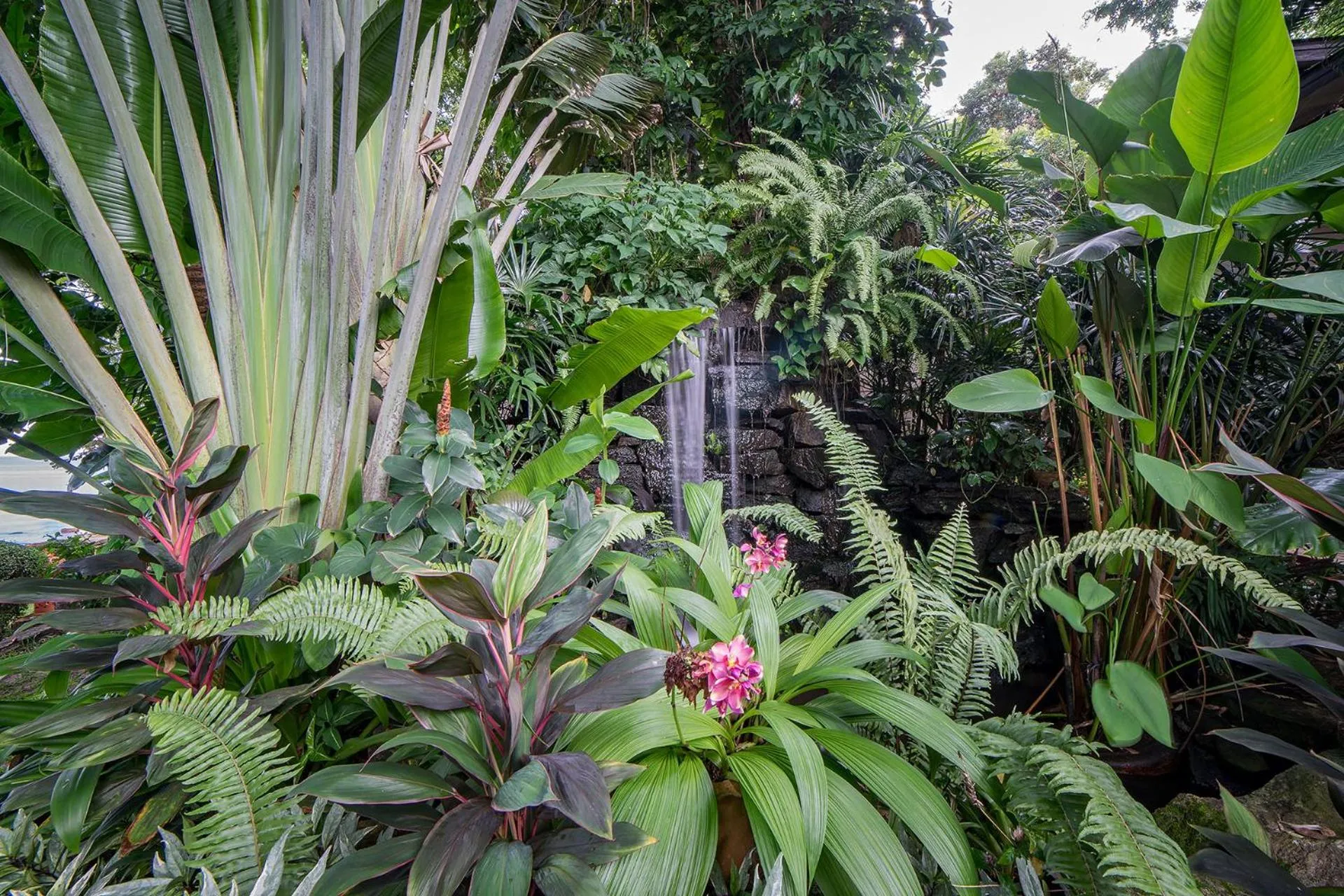 Garden view in Samed Villa Resort