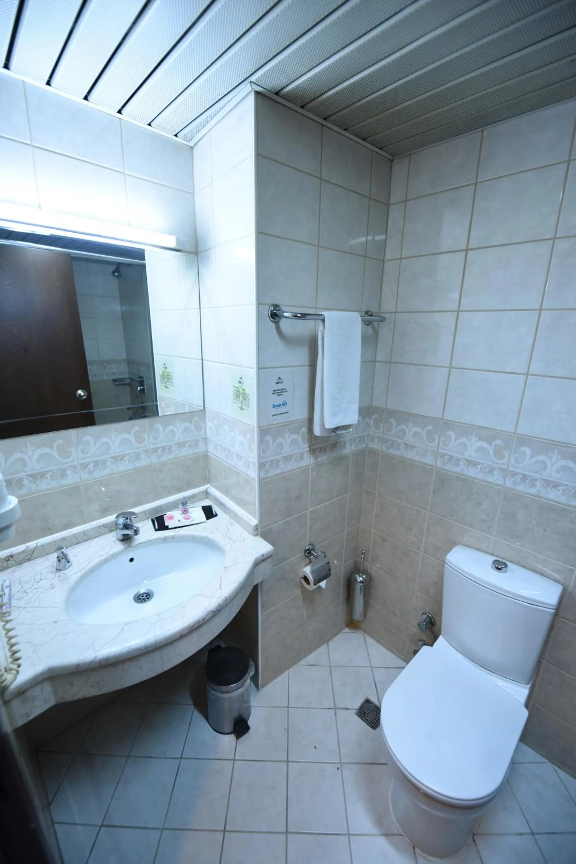 Shower in Asal Hotel