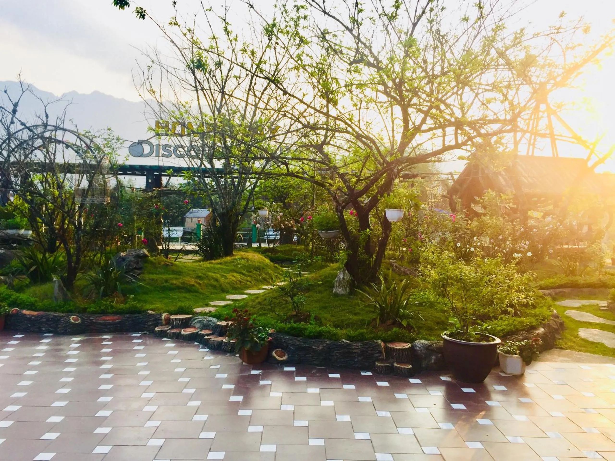 Homestay Discovery Sapa