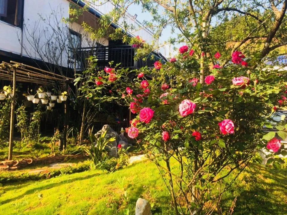 Homestay Discovery Sapa