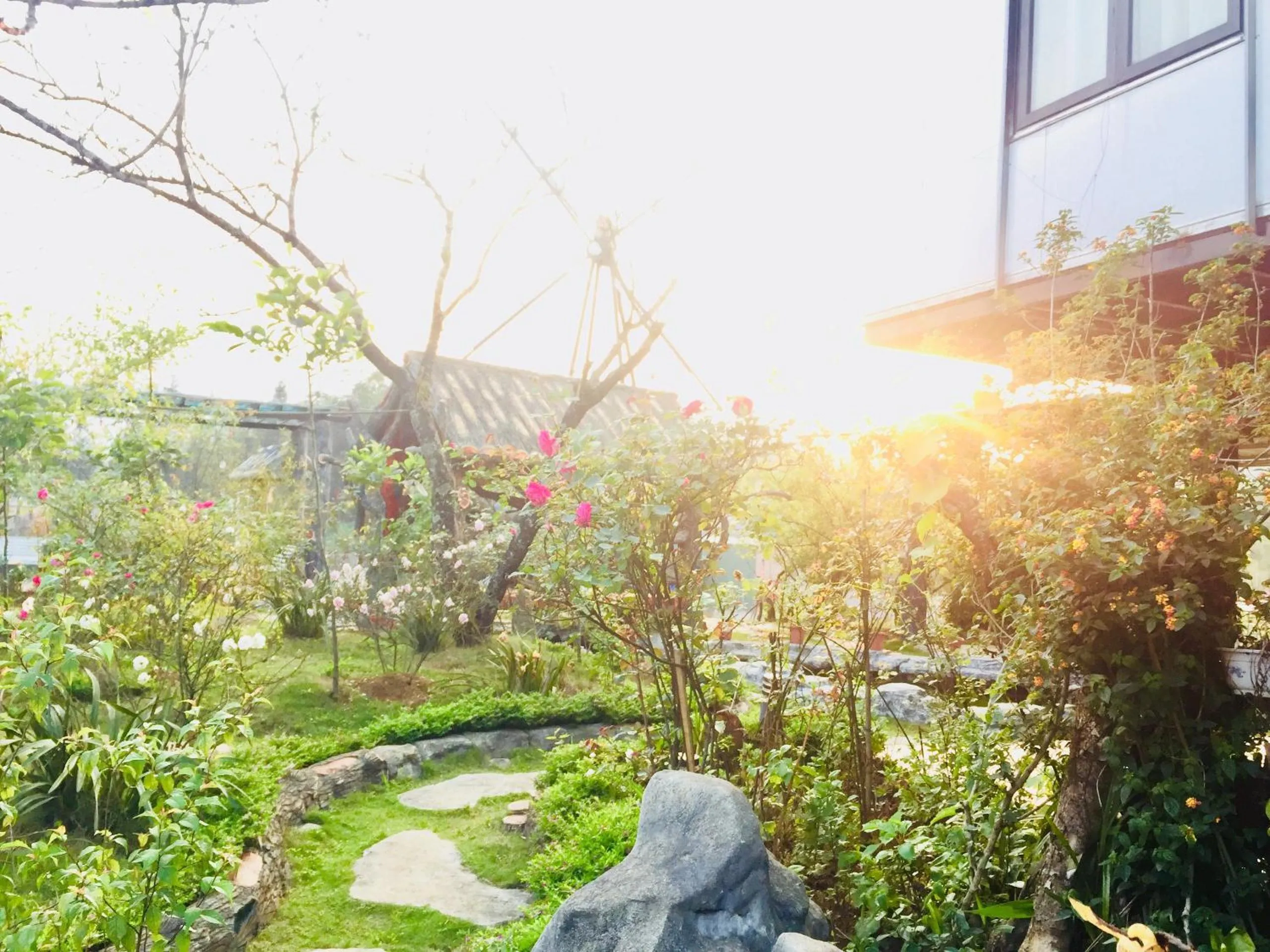 Homestay Discovery Sapa