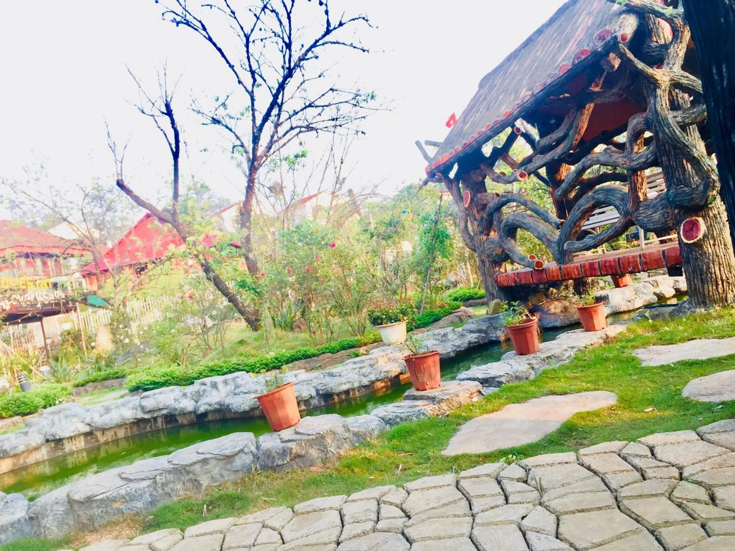 Homestay Discovery Sapa