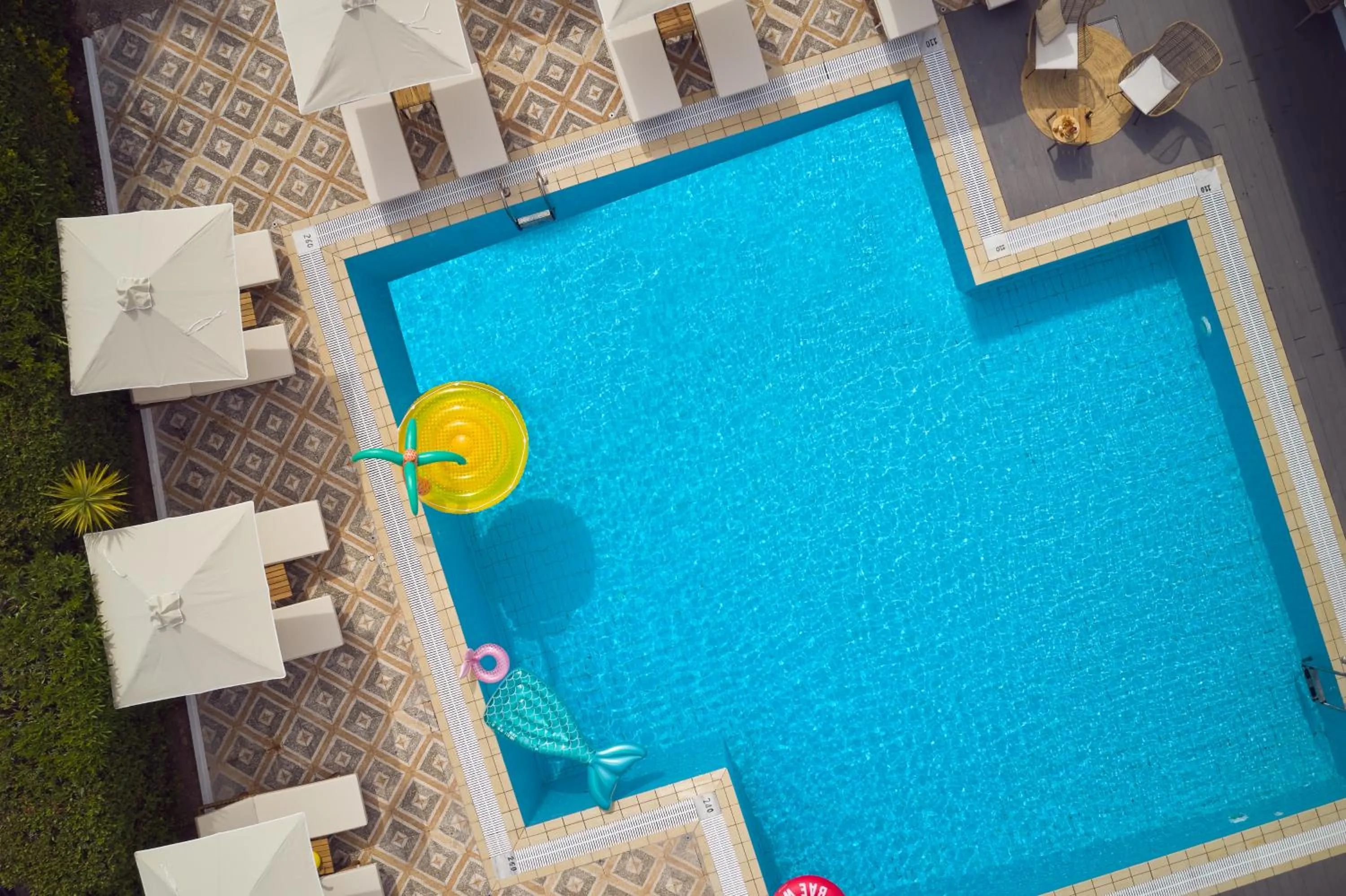 Swimming pool in Cactus Hotel