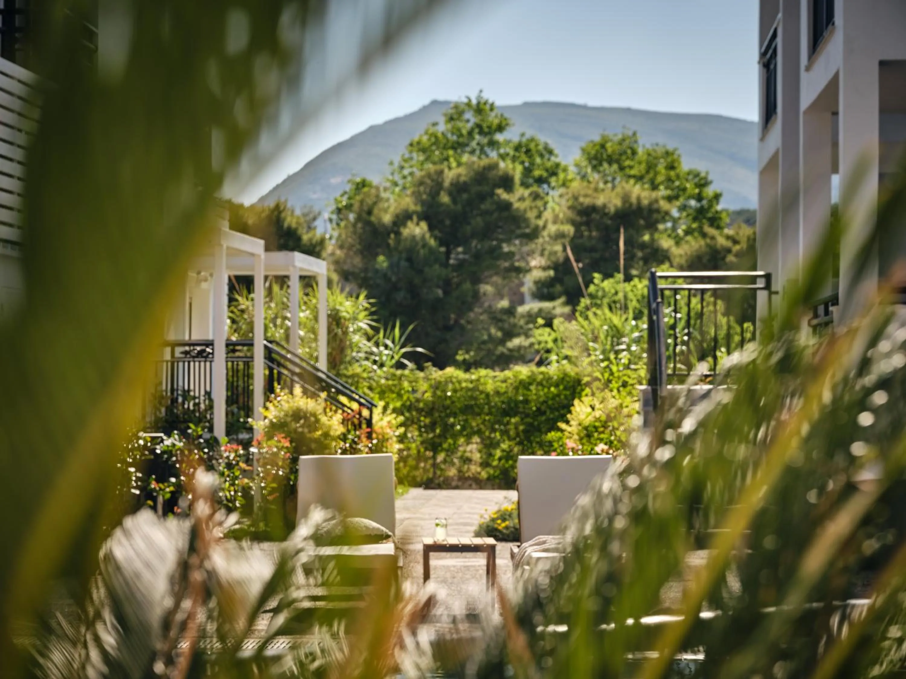 Patio in Cactus Hotel