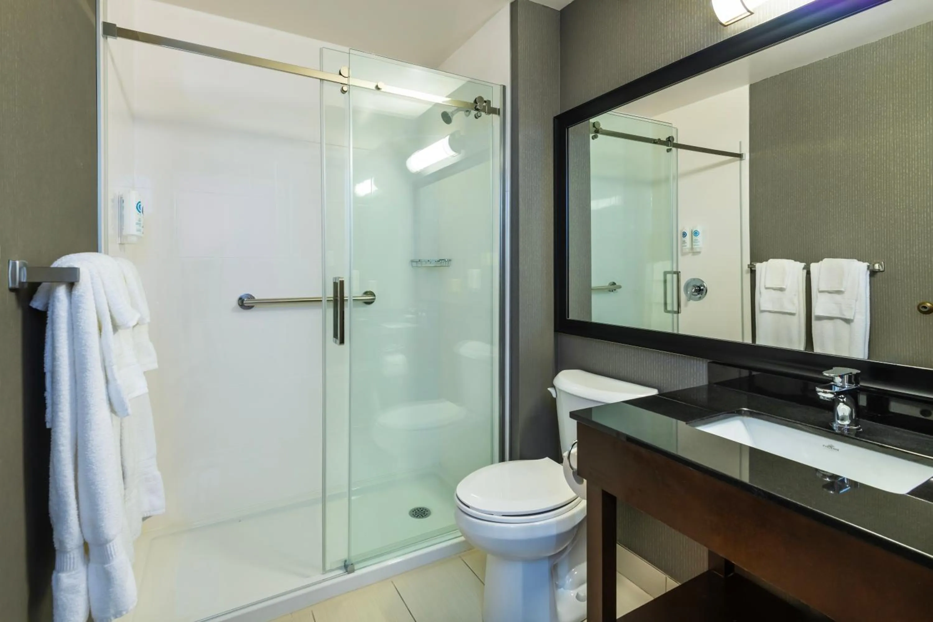 Shower in Comfort Inn Airport East