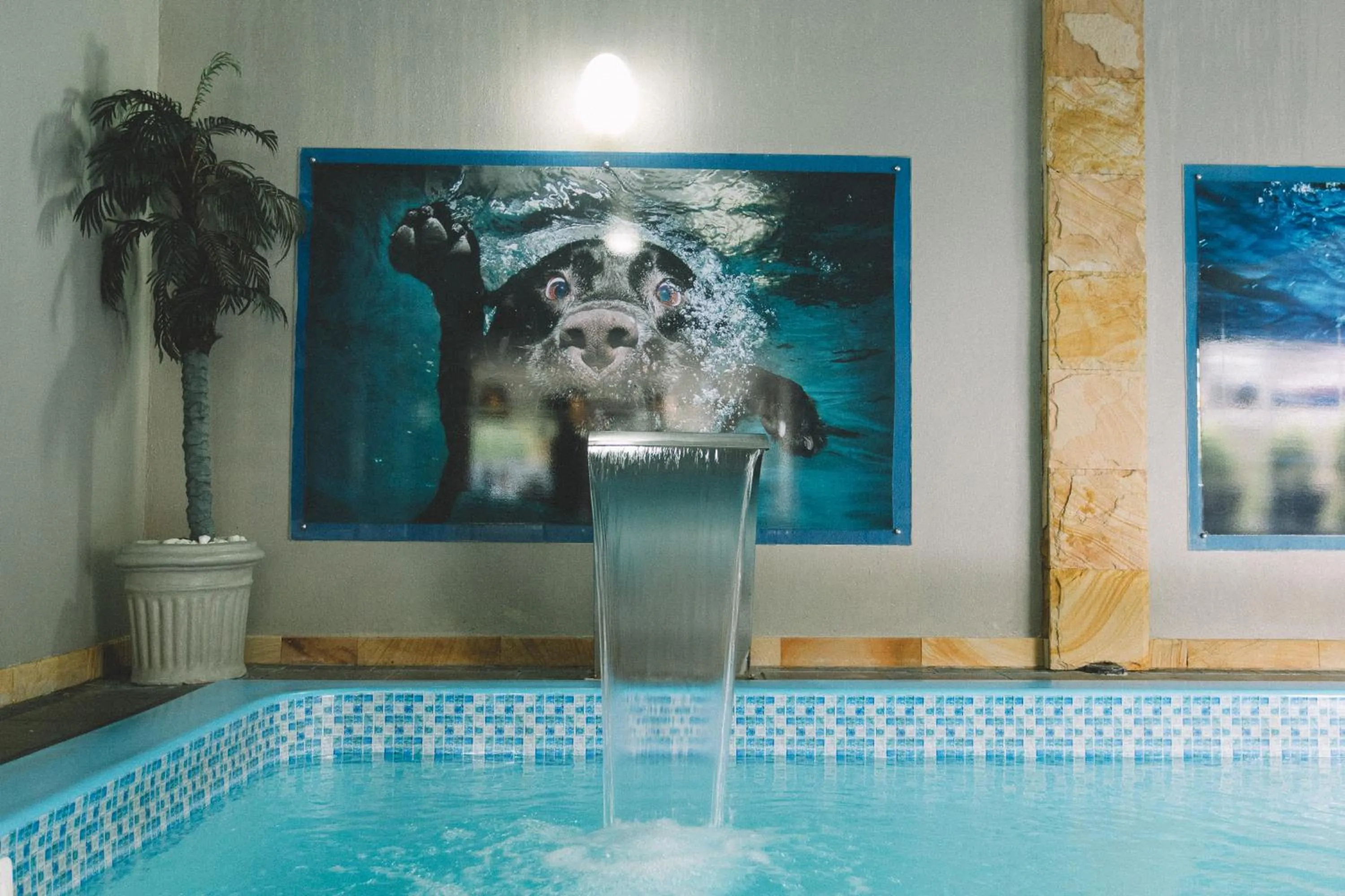 Swimming pool in Sky Centro Hotel & SPA