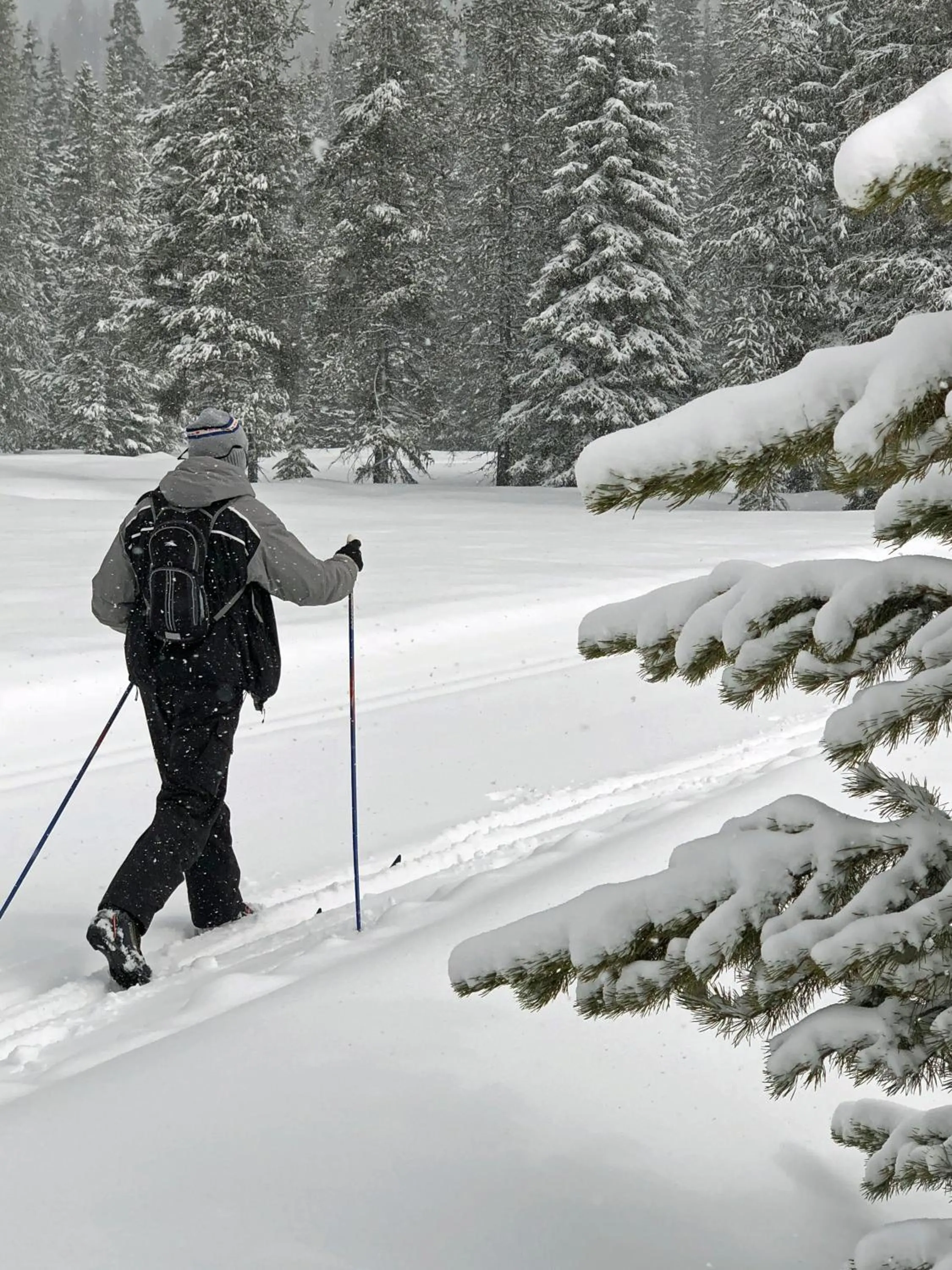 The Lodge at Lolo Hot Springs