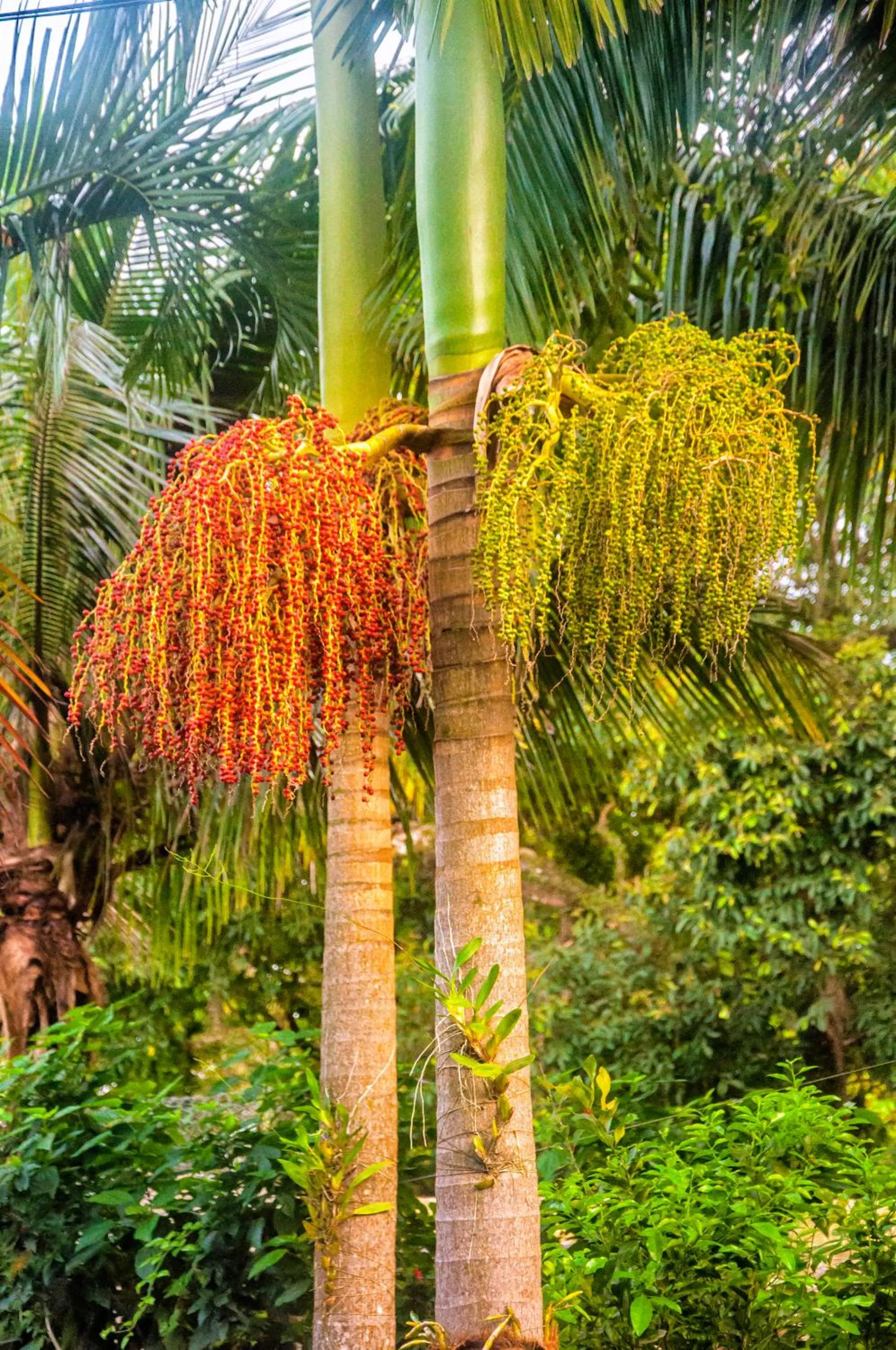 On site in Pousada Marimar