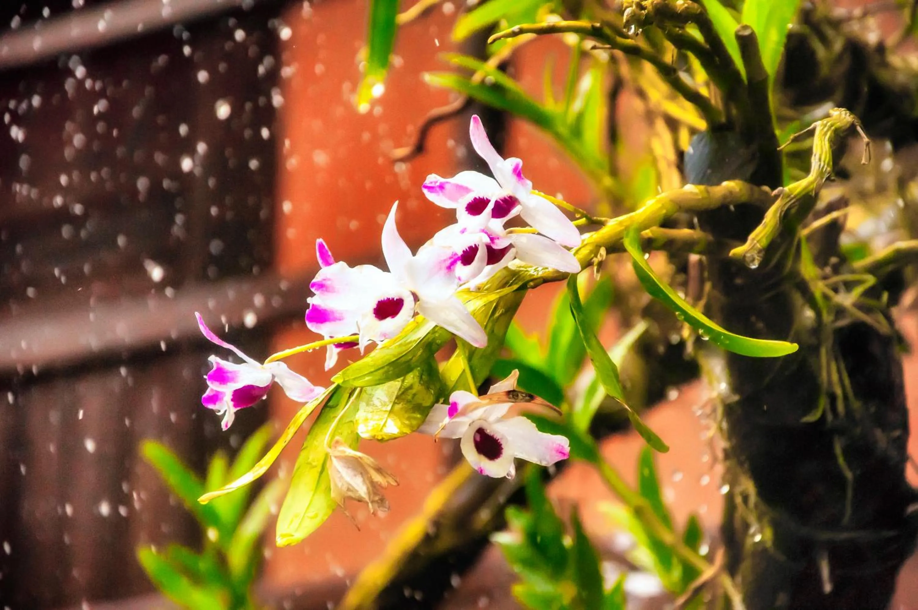 Floor plan in Pousada Marimar