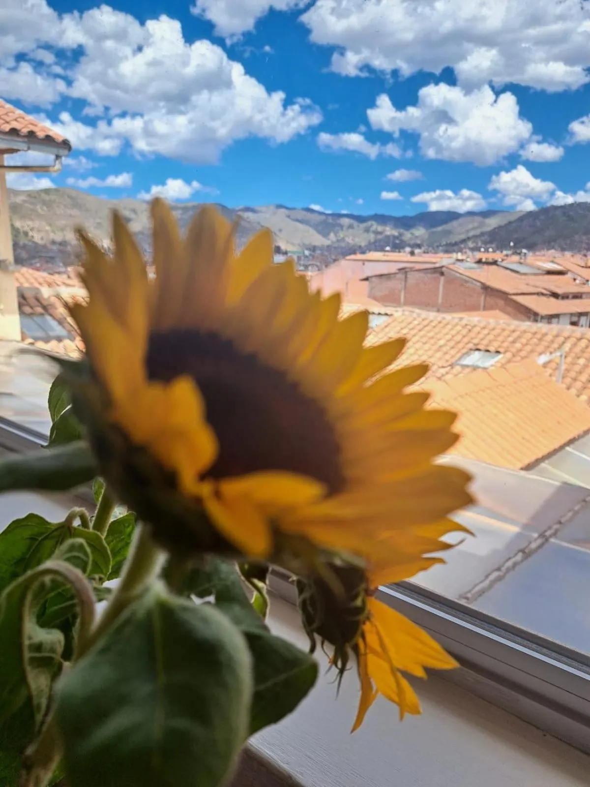 Mountain view in Hotel Sueños del Inka