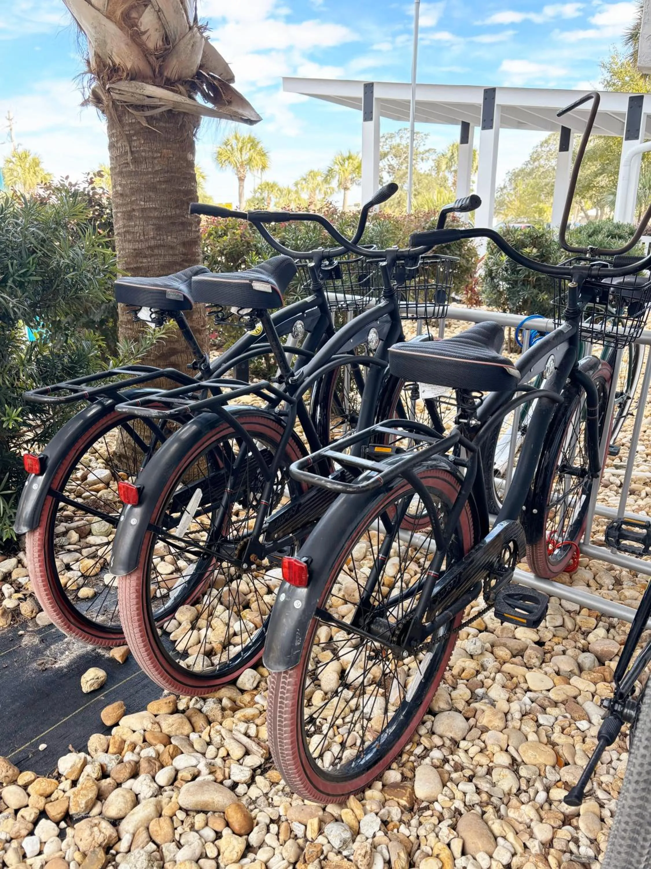 Activities in Inn on Destin Harbor, an Ascend Collection Hotel