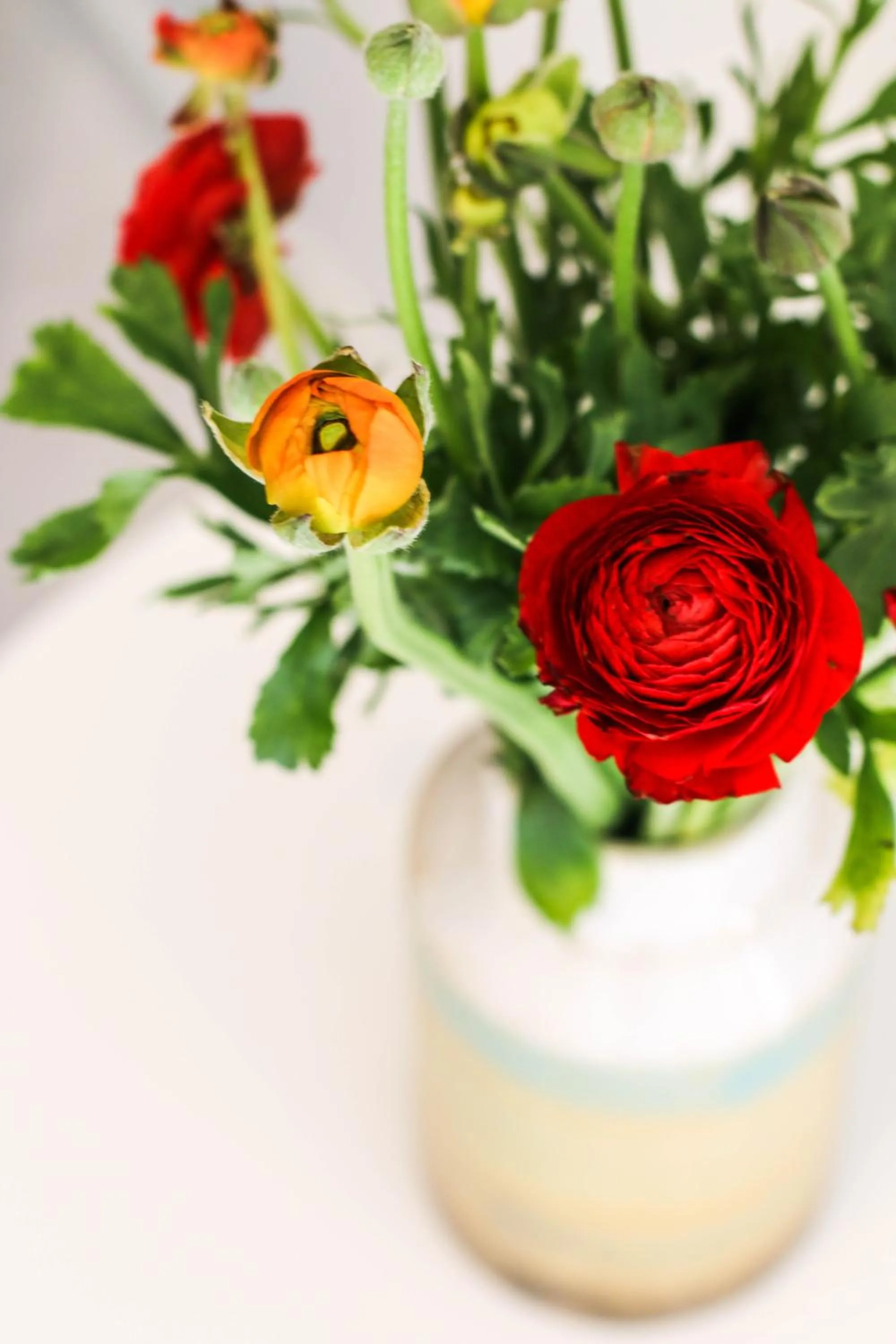 Living room in Logement Nij Bonga Holwerd