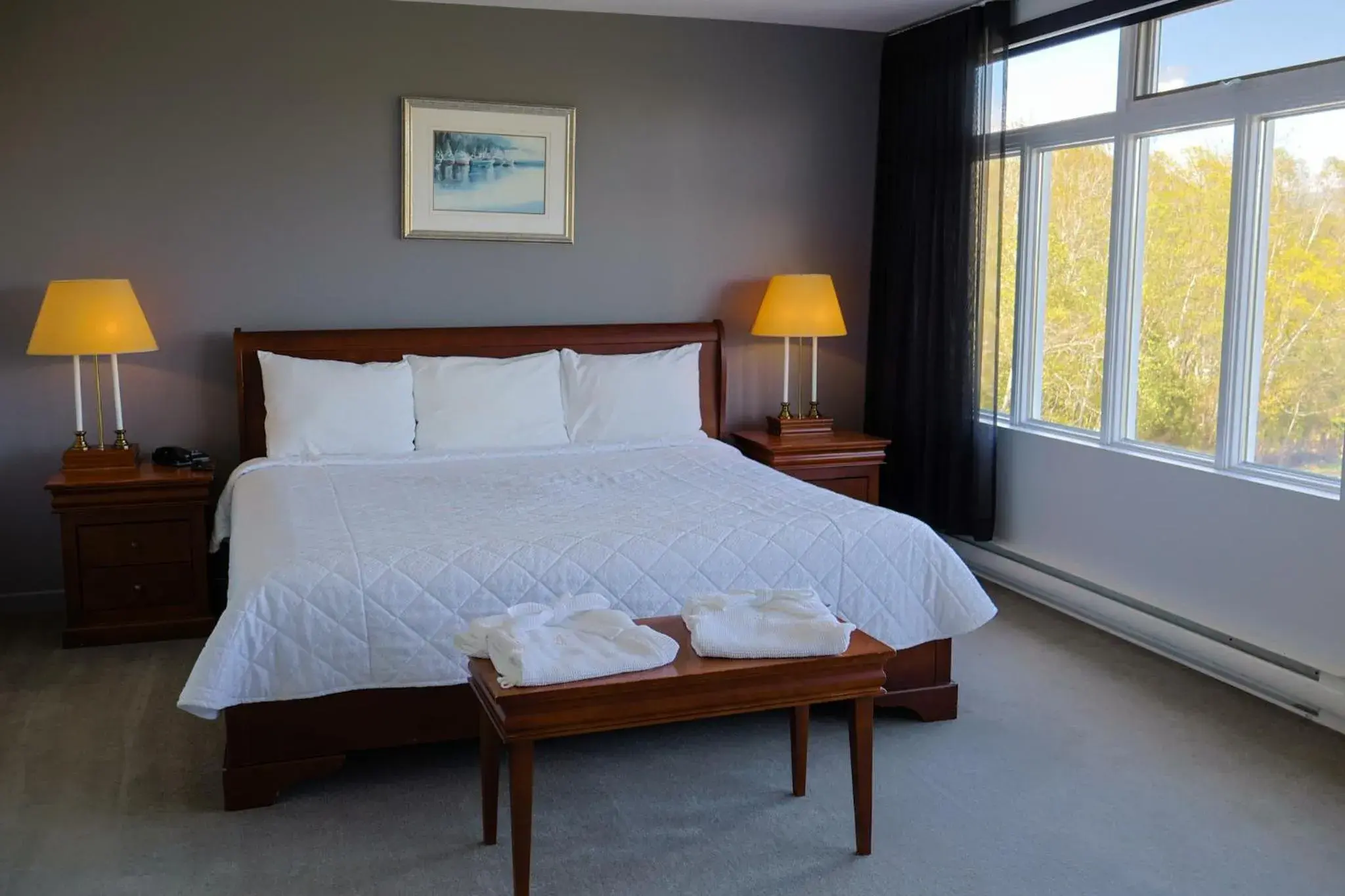 Executive Suite in Hôtel au Petit Berger Executive Suite in Hôtel au Petit Berger