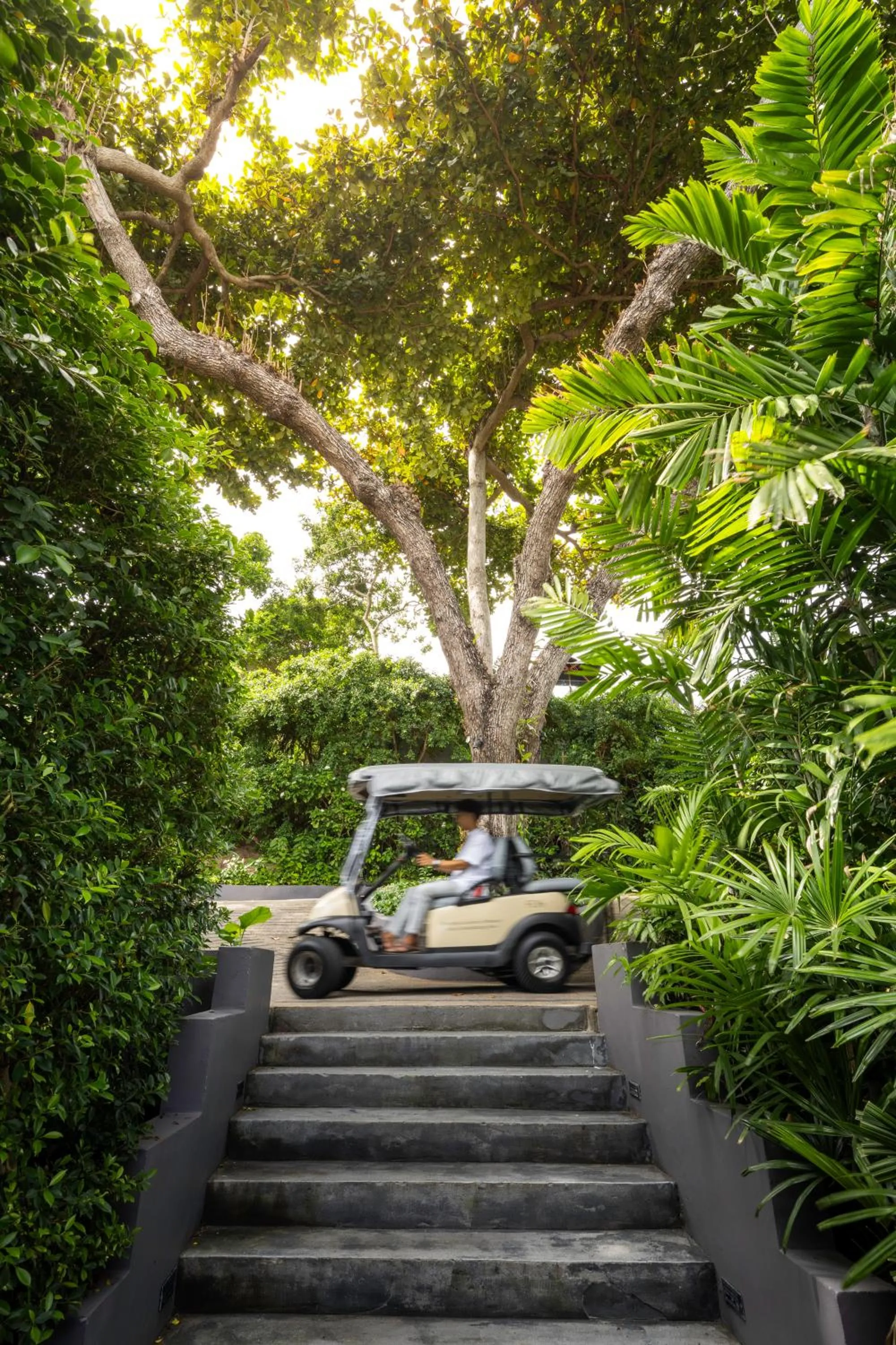 Natural landscape in Silavadee Pool Spa Resort - SHA Extra Plus