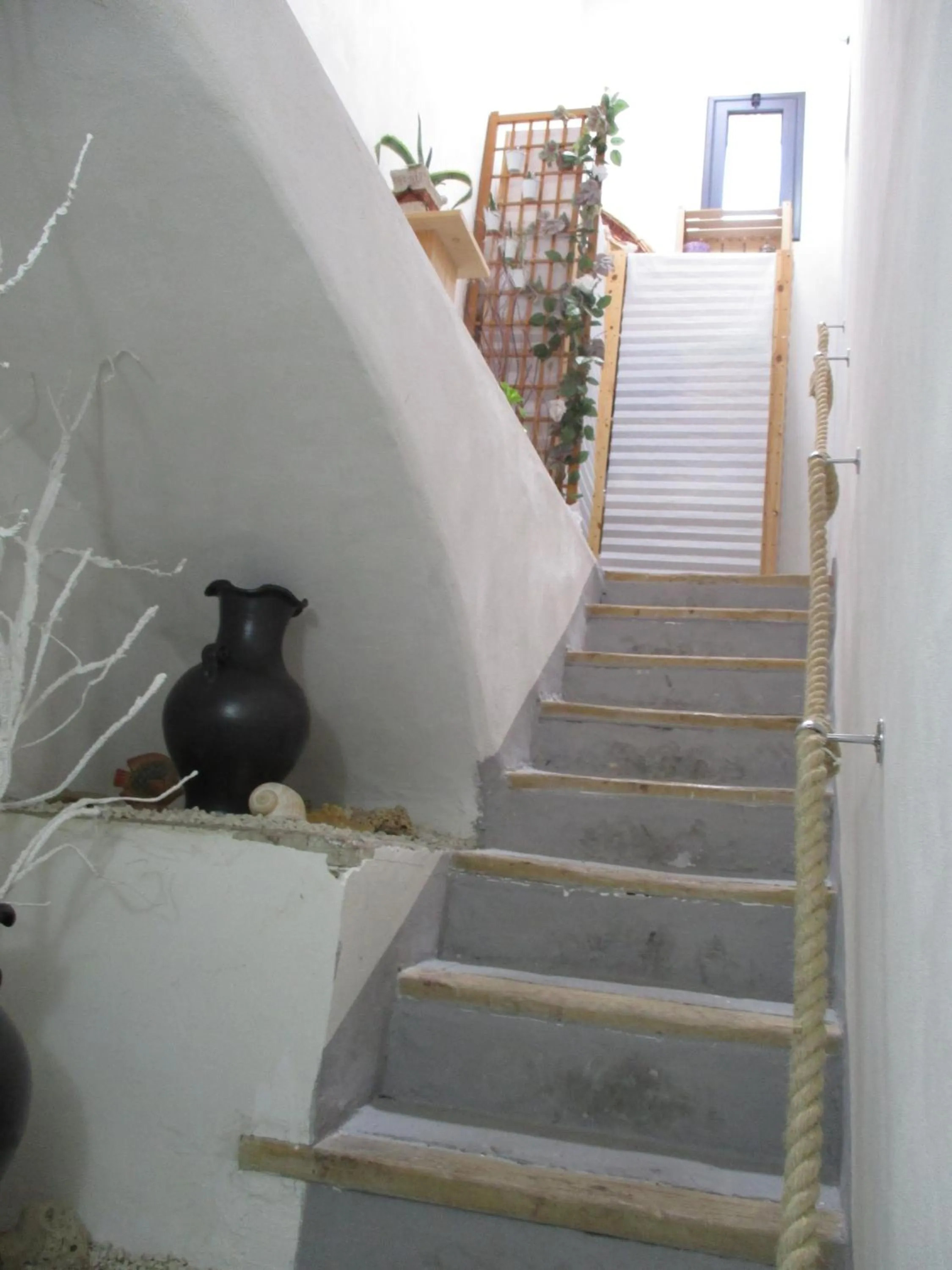 Decorative detail in Palazzo Ruisi