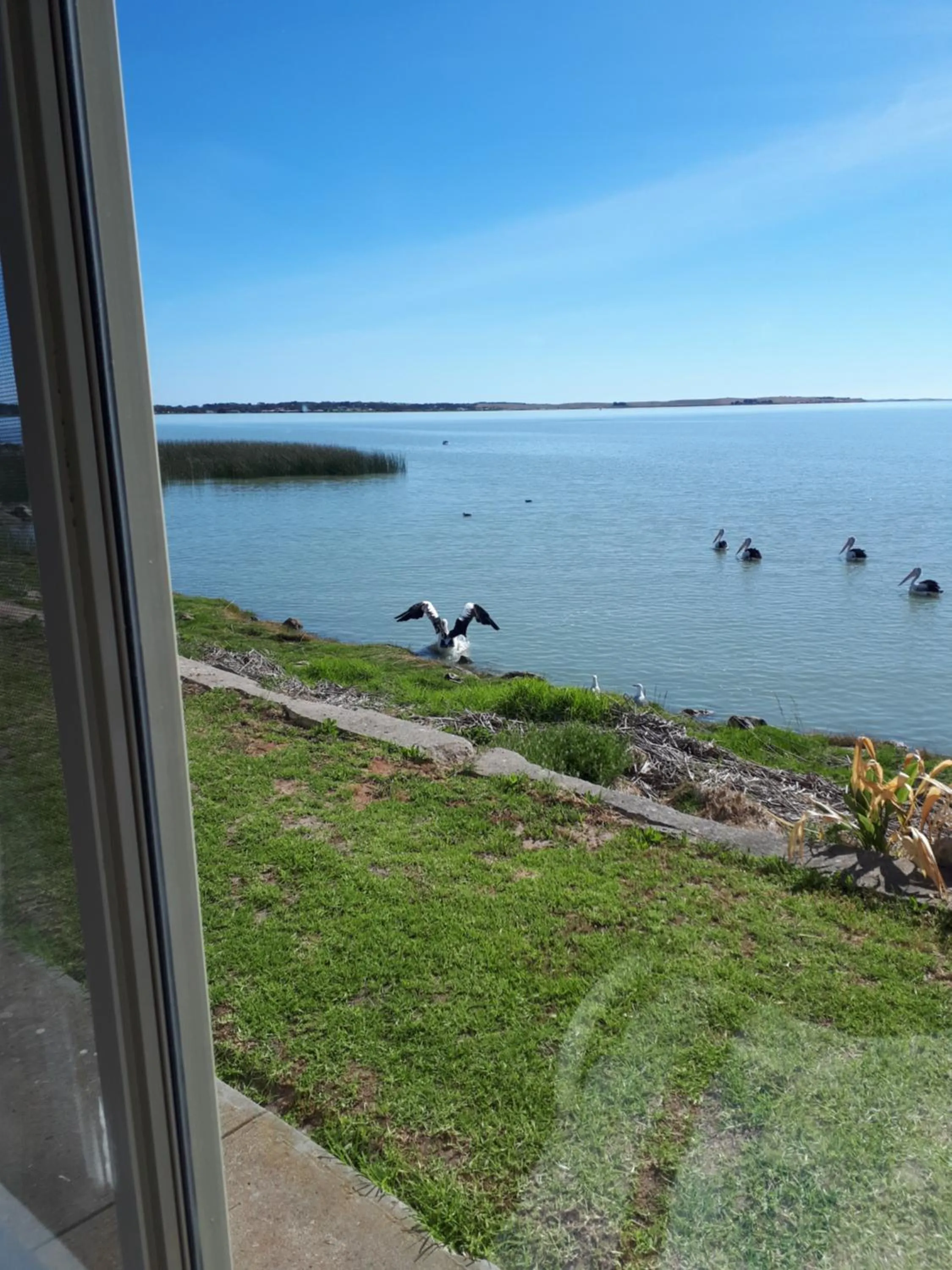 Natural landscape in Meningie Waterfront Motel