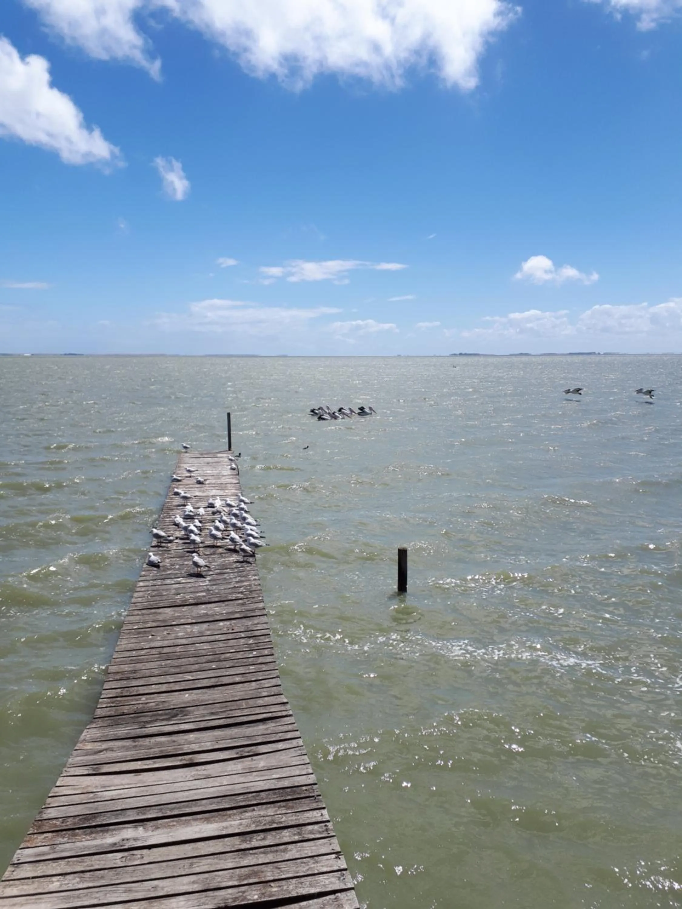 Natural landscape in Meningie Waterfront Motel