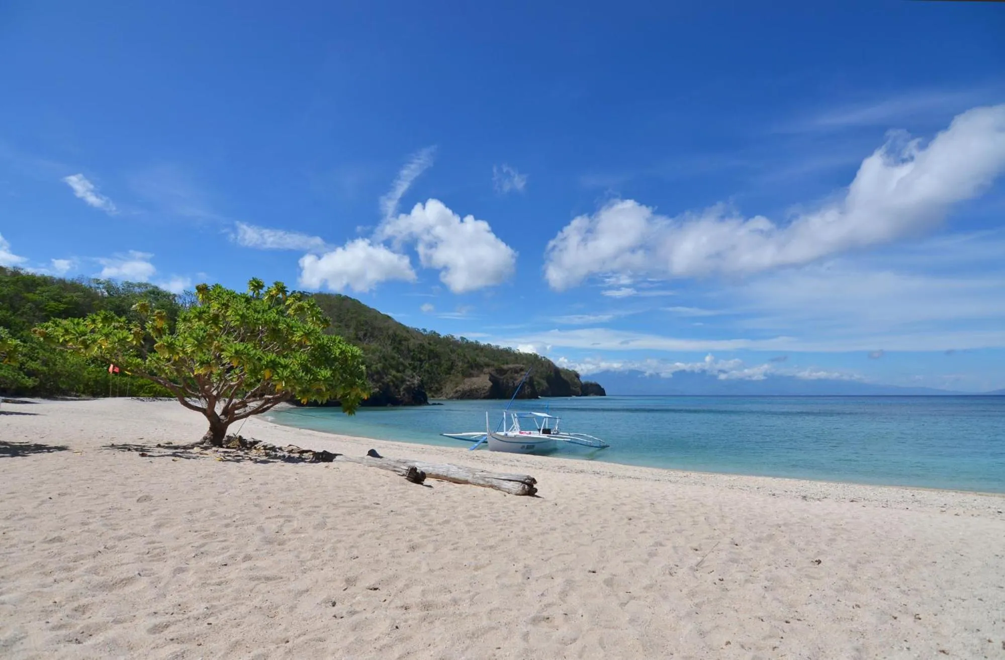 Beach in Eagle Point Beach and Dive Resort