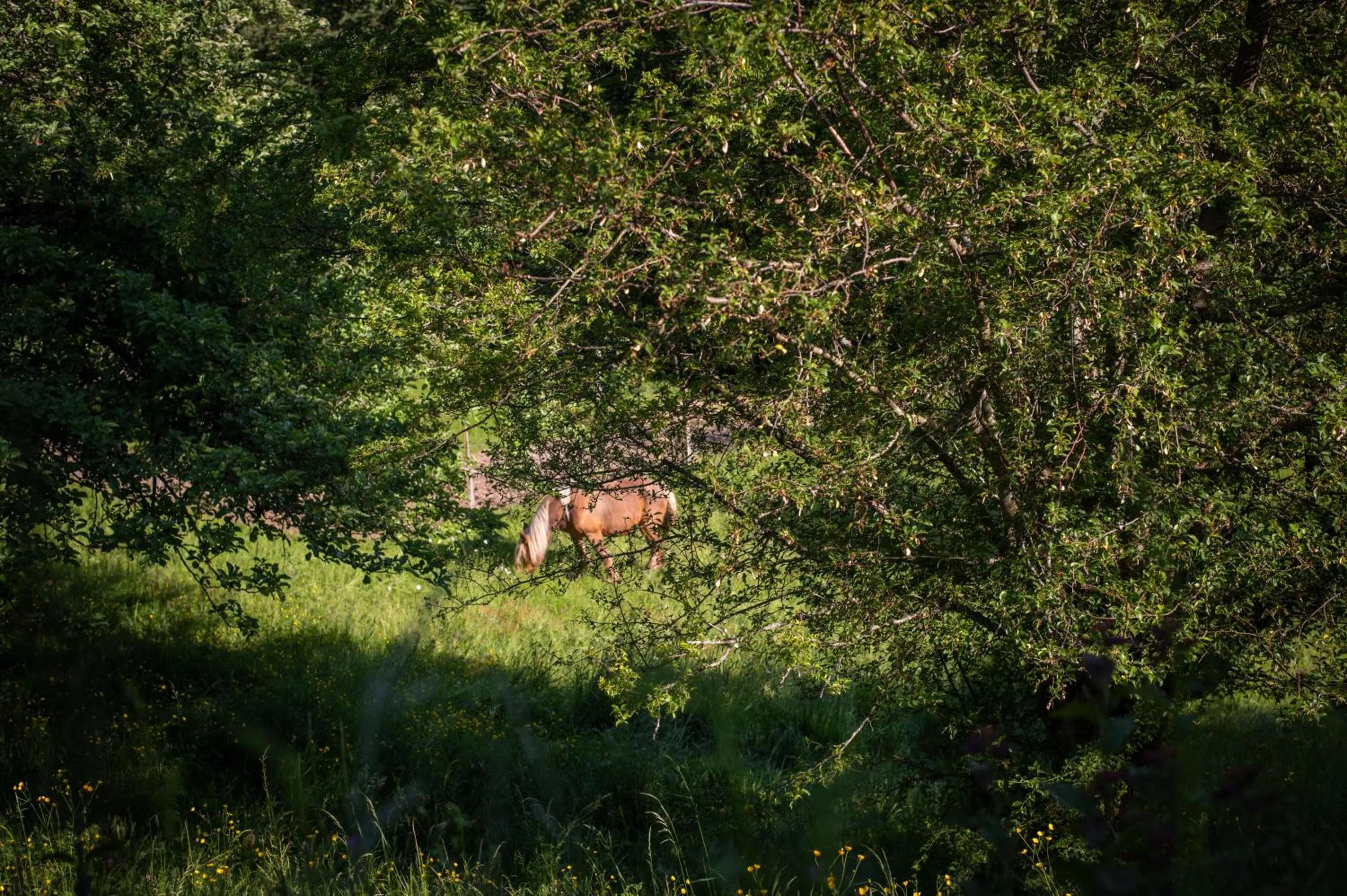 Natural landscape in La Grange d'Hannah - gîte & chambre d’hôtes de charme