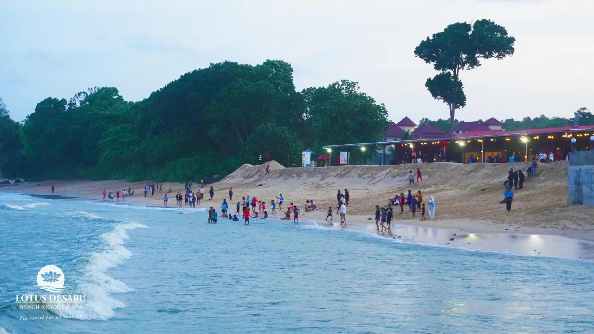 Beach in Lotus Desaru Beach Resort & Spa