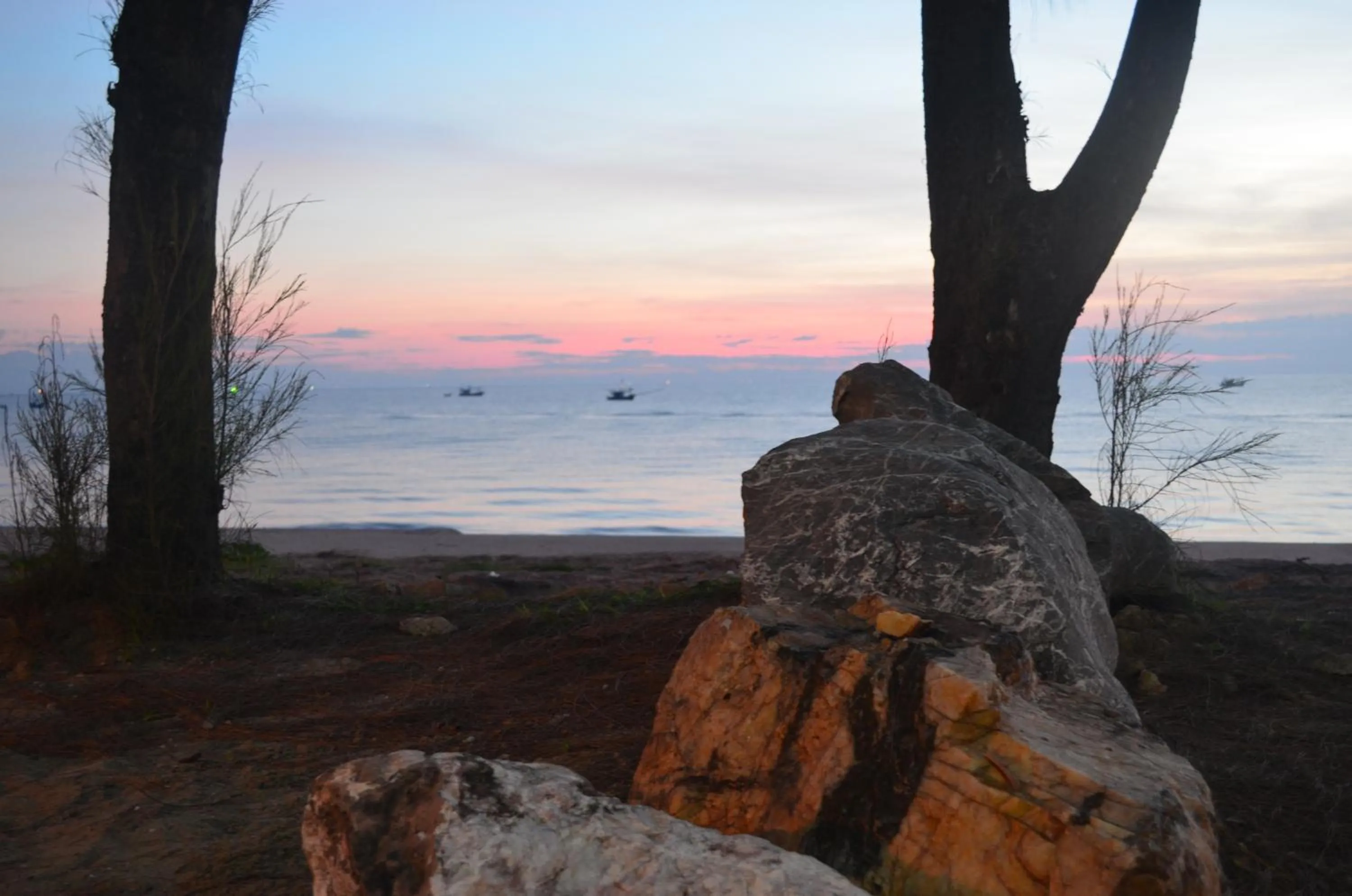 Area and facilities in Palm Beach Resort