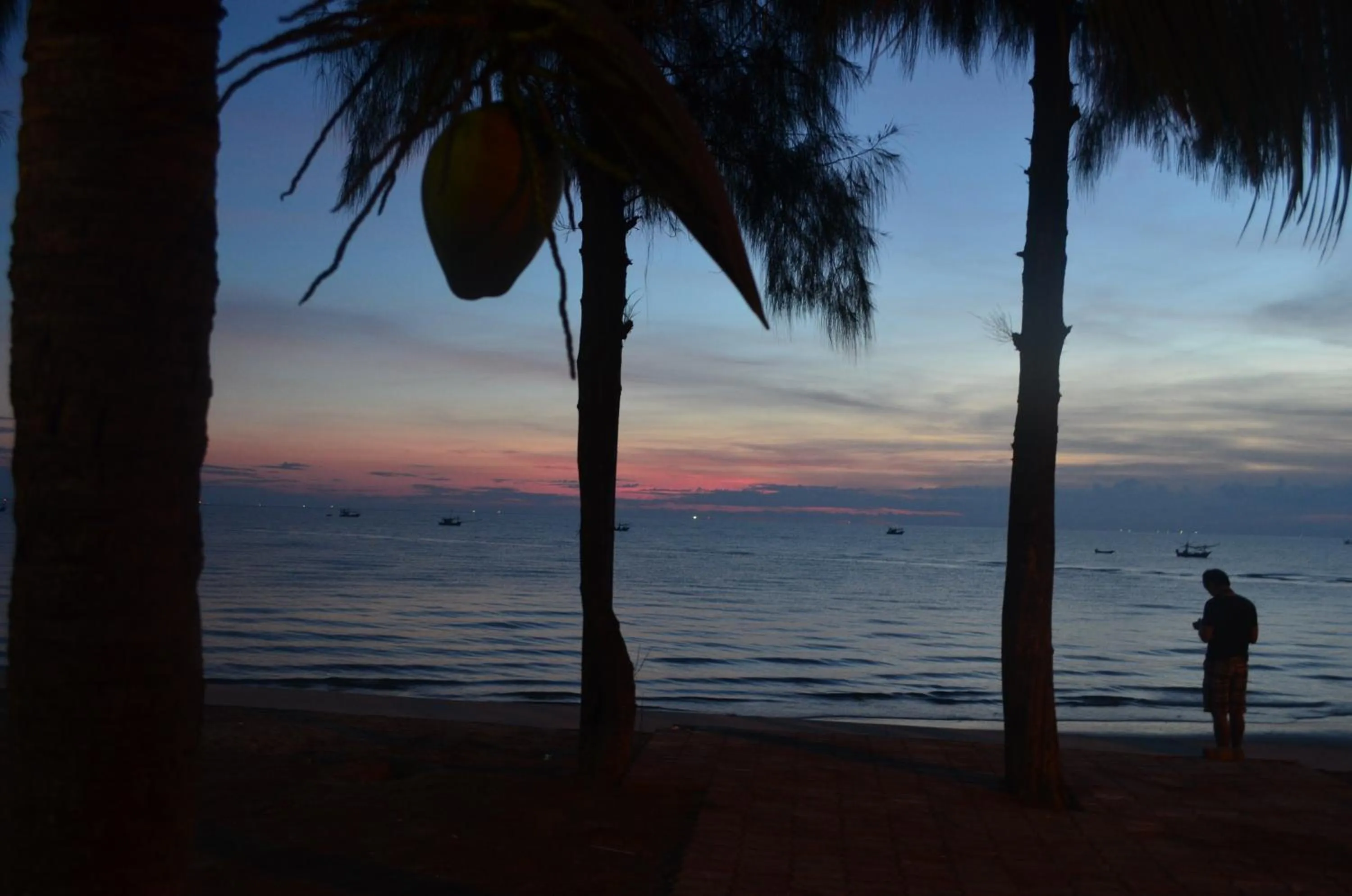 Area and facilities in Palm Beach Resort