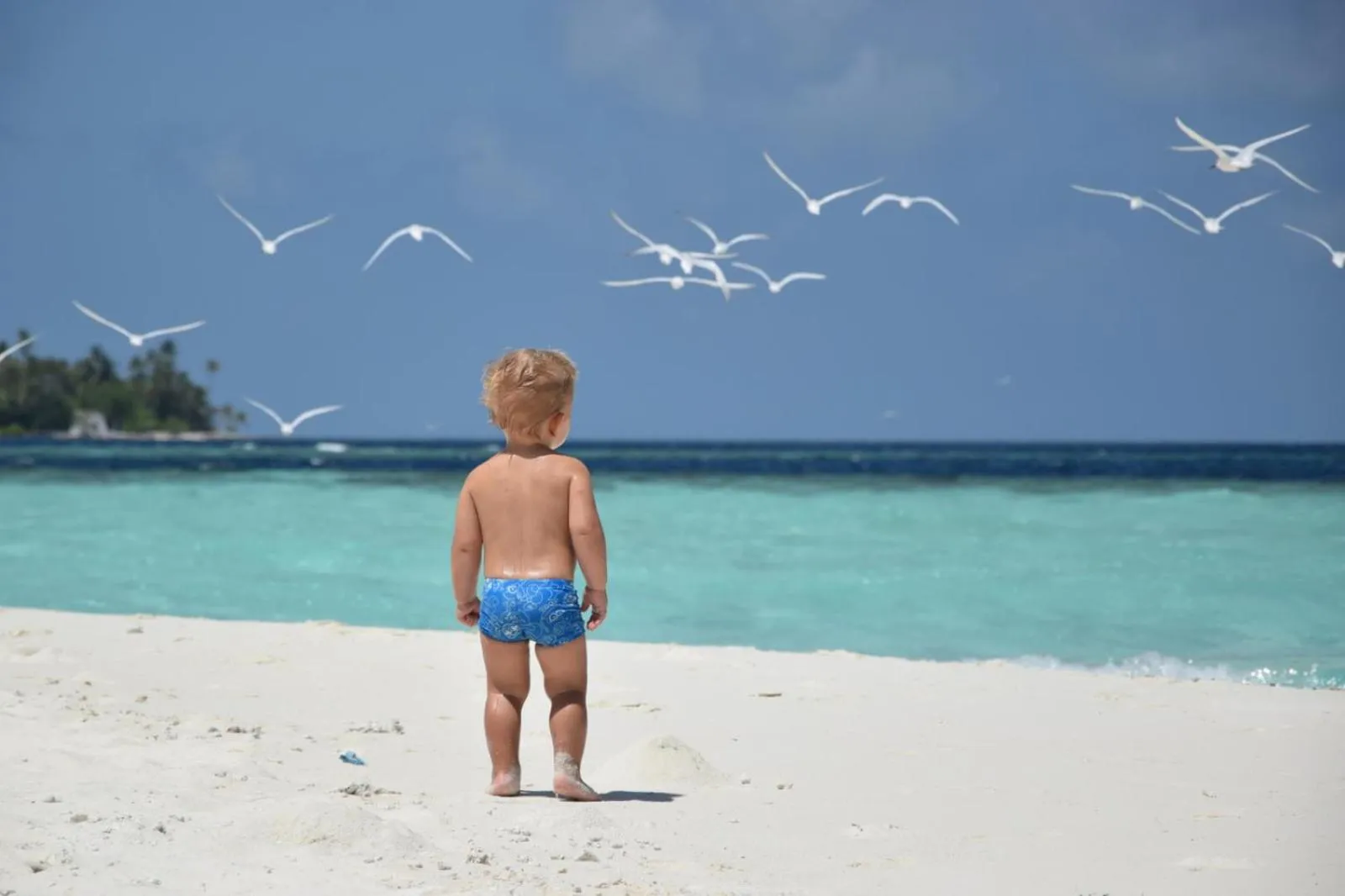 Day in Araamu Hotels Maldives at Dhiffushi