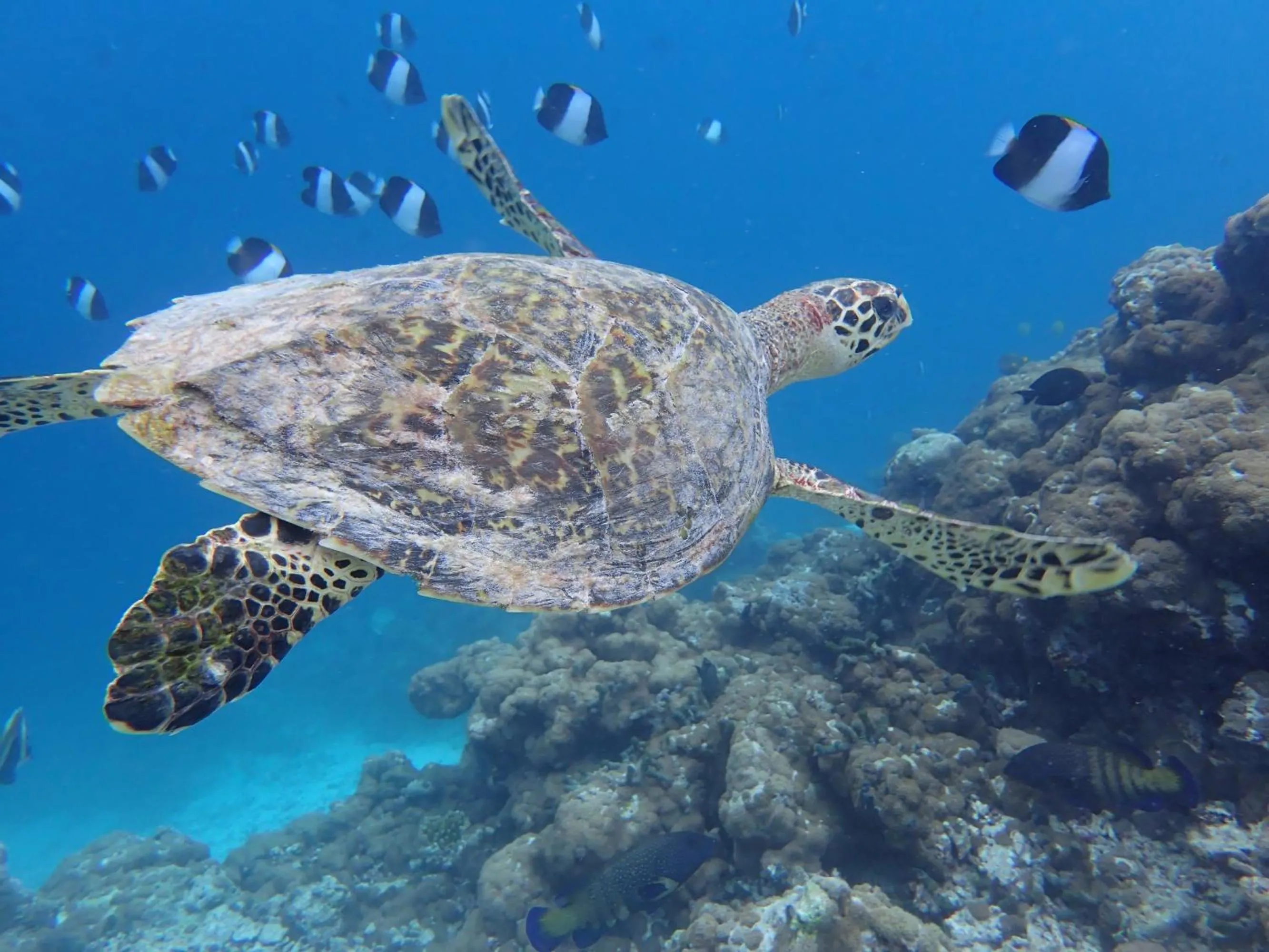 Day in Nala Veli Villa