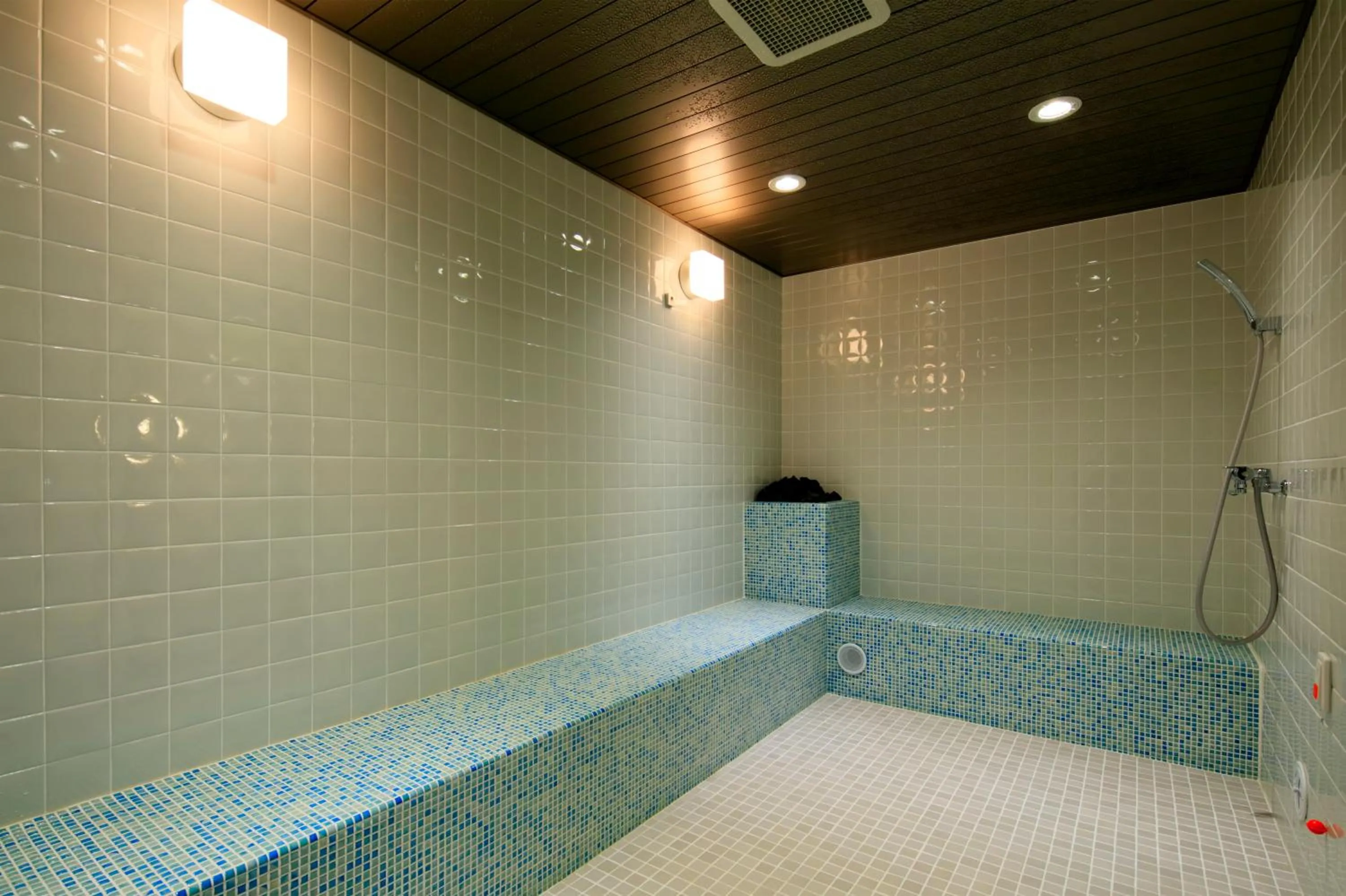 Sauna in Candeo Hotels Hiroshima Hatchobori