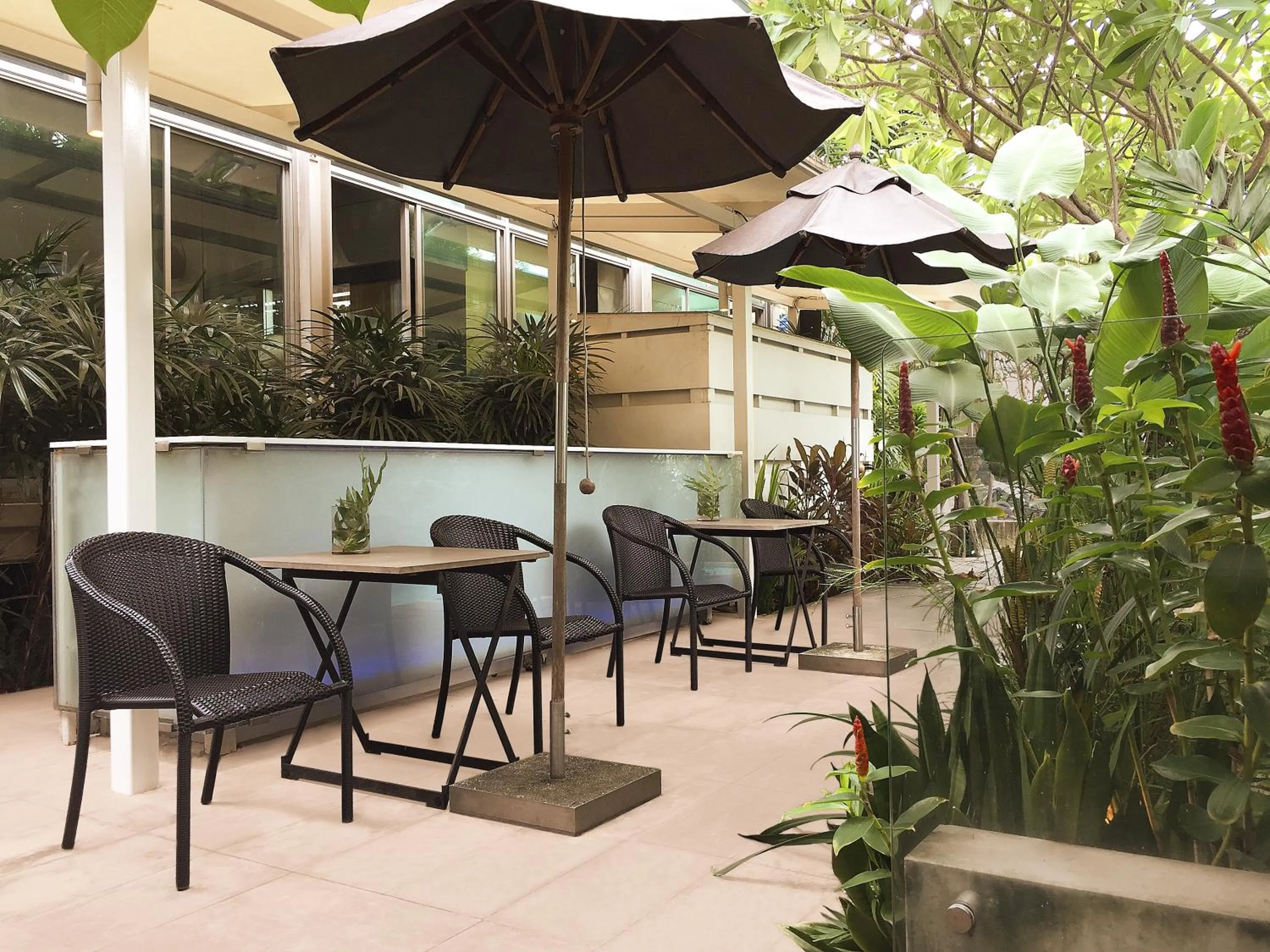 Garden view in Refillnow! Hostel