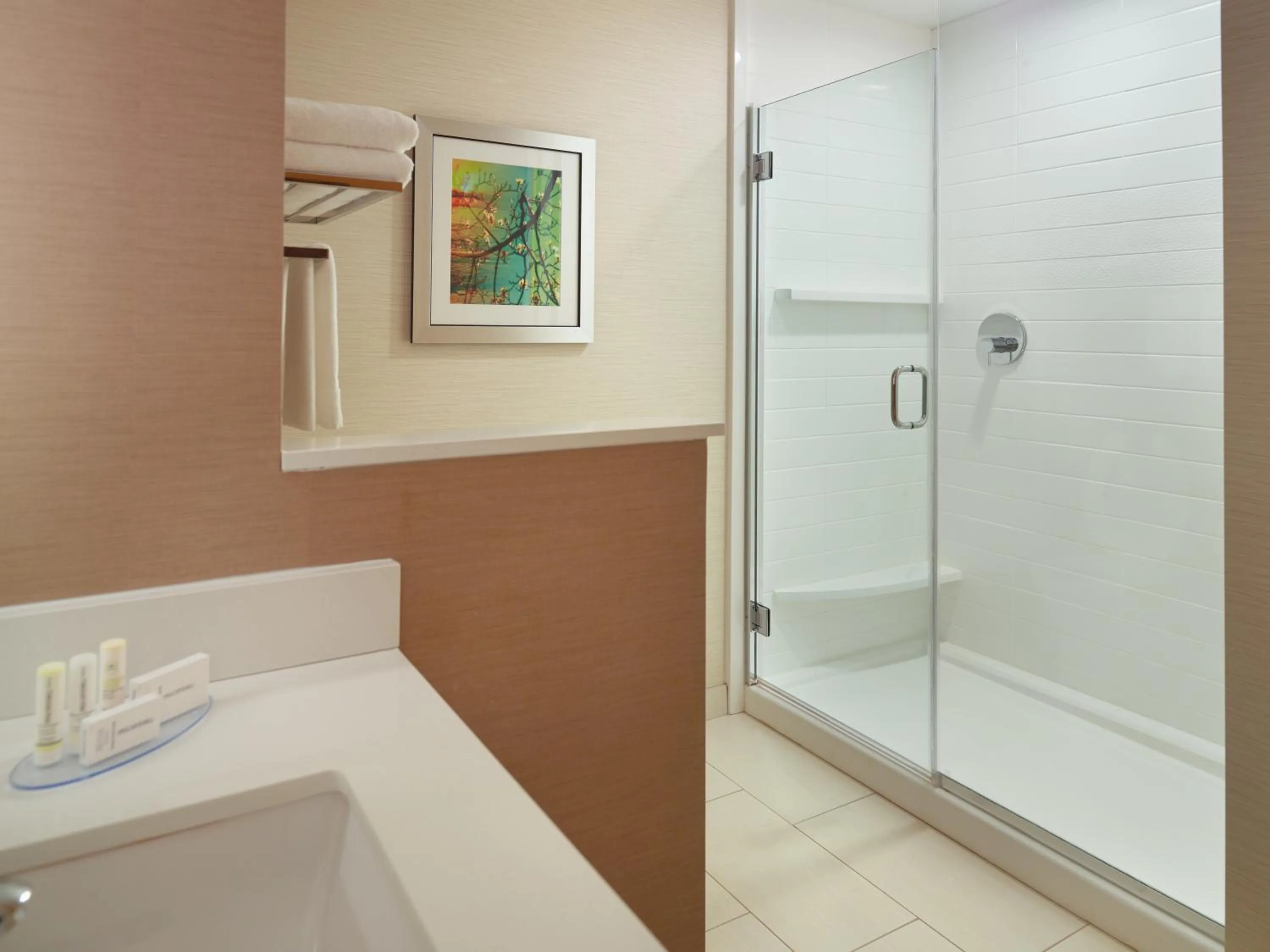 Fairfield Inn & Suites by Marriott Hendersonville Flat Rock