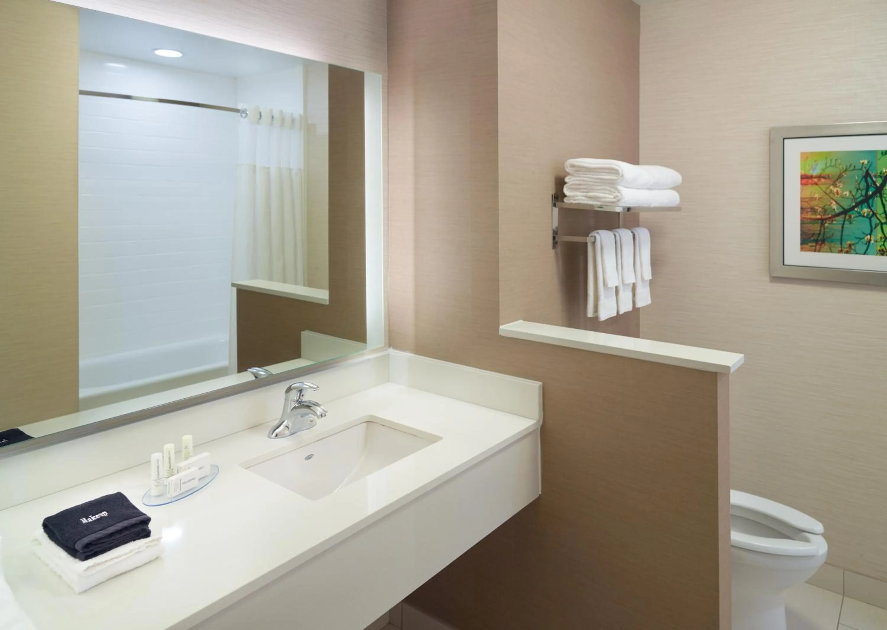 Fairfield Inn & Suites by Marriott Hendersonville Flat Rock