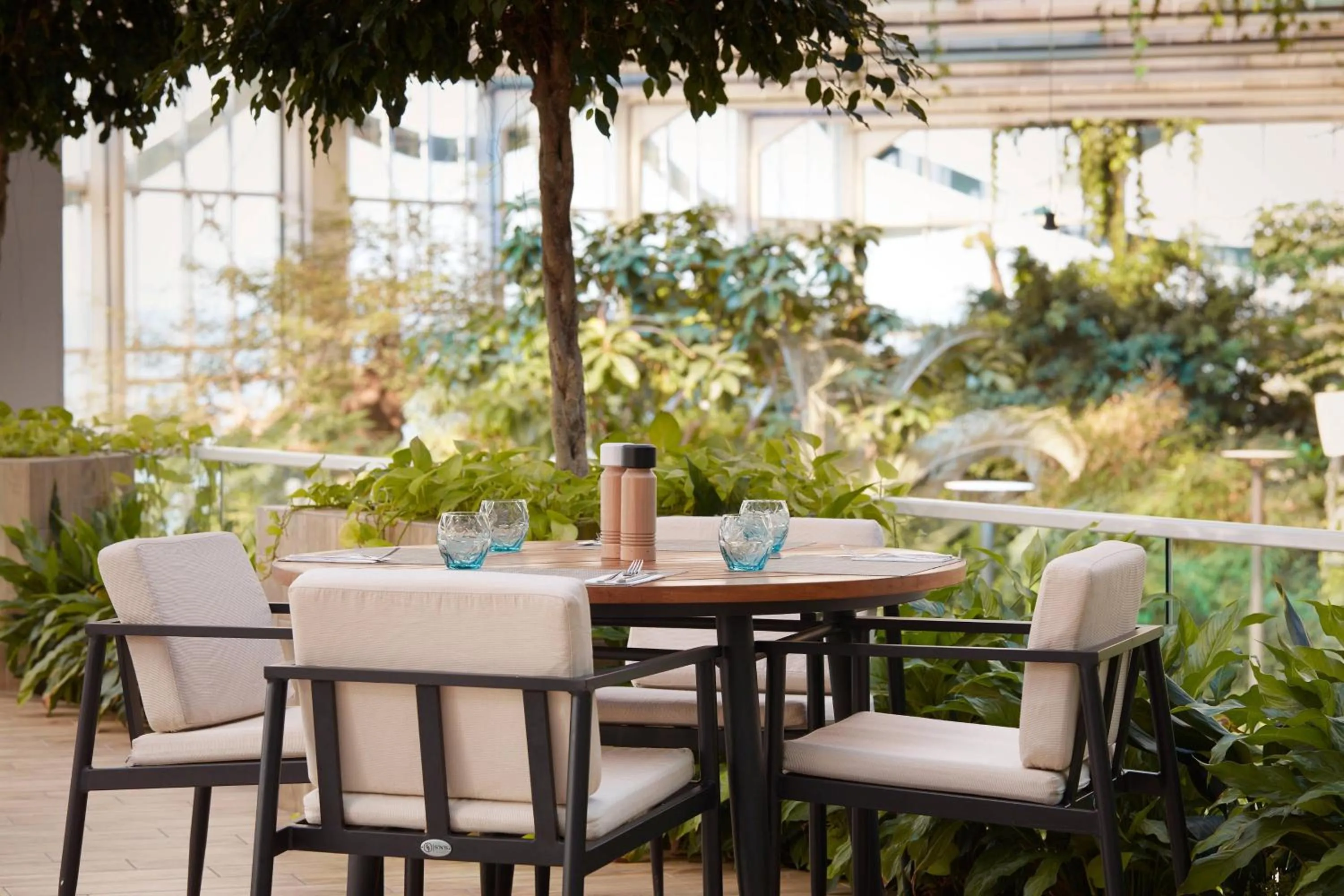 Restaurant/places to eat in Paragraph Resort & Spa Shekvetili, Autograph Collection