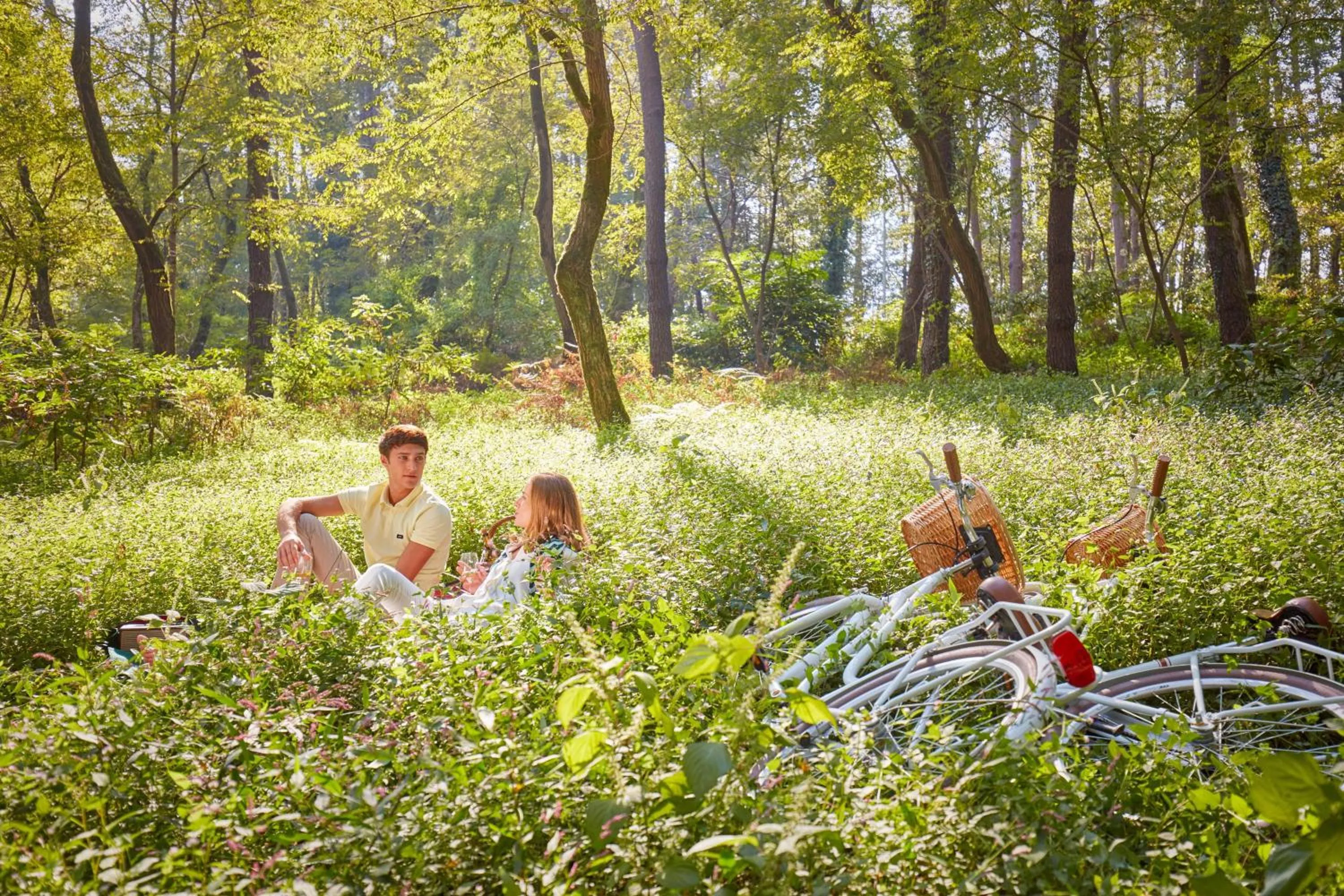 Other in Paragraph Resort & Spa Shekvetili, Autograph Collection