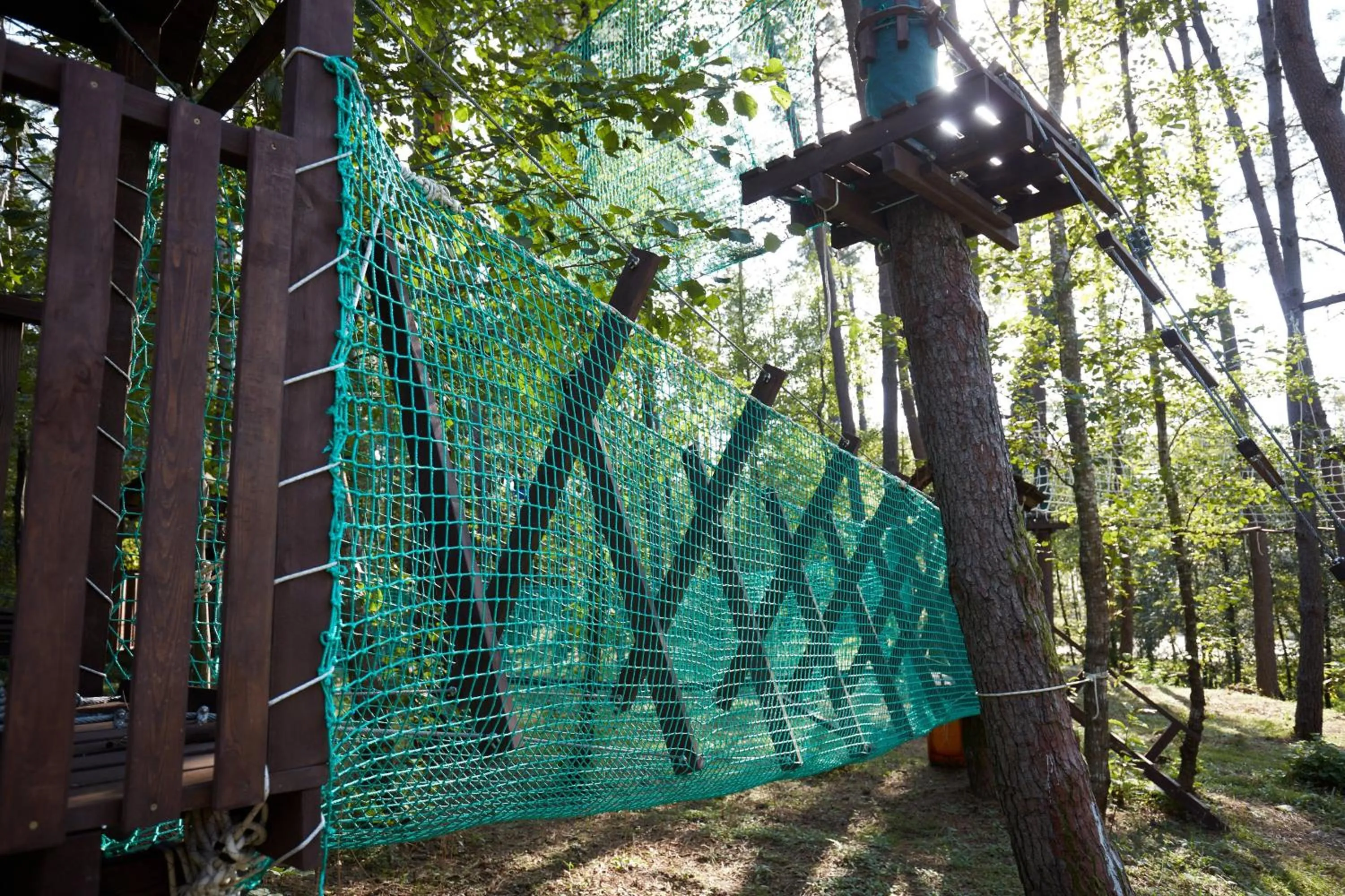 Other in Paragraph Resort & Spa Shekvetili, Autograph Collection