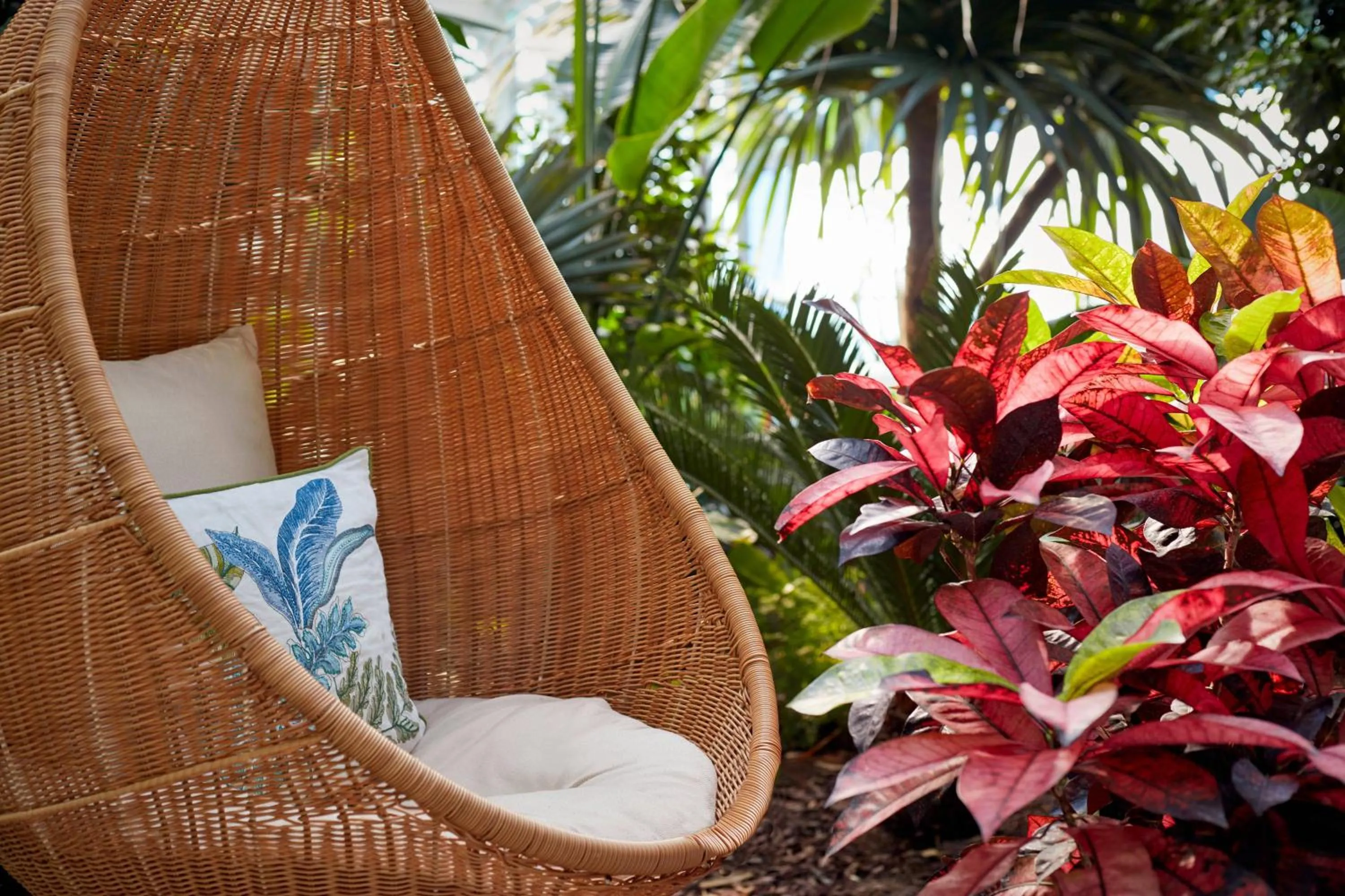 Other in Paragraph Resort & Spa Shekvetili, Autograph Collection