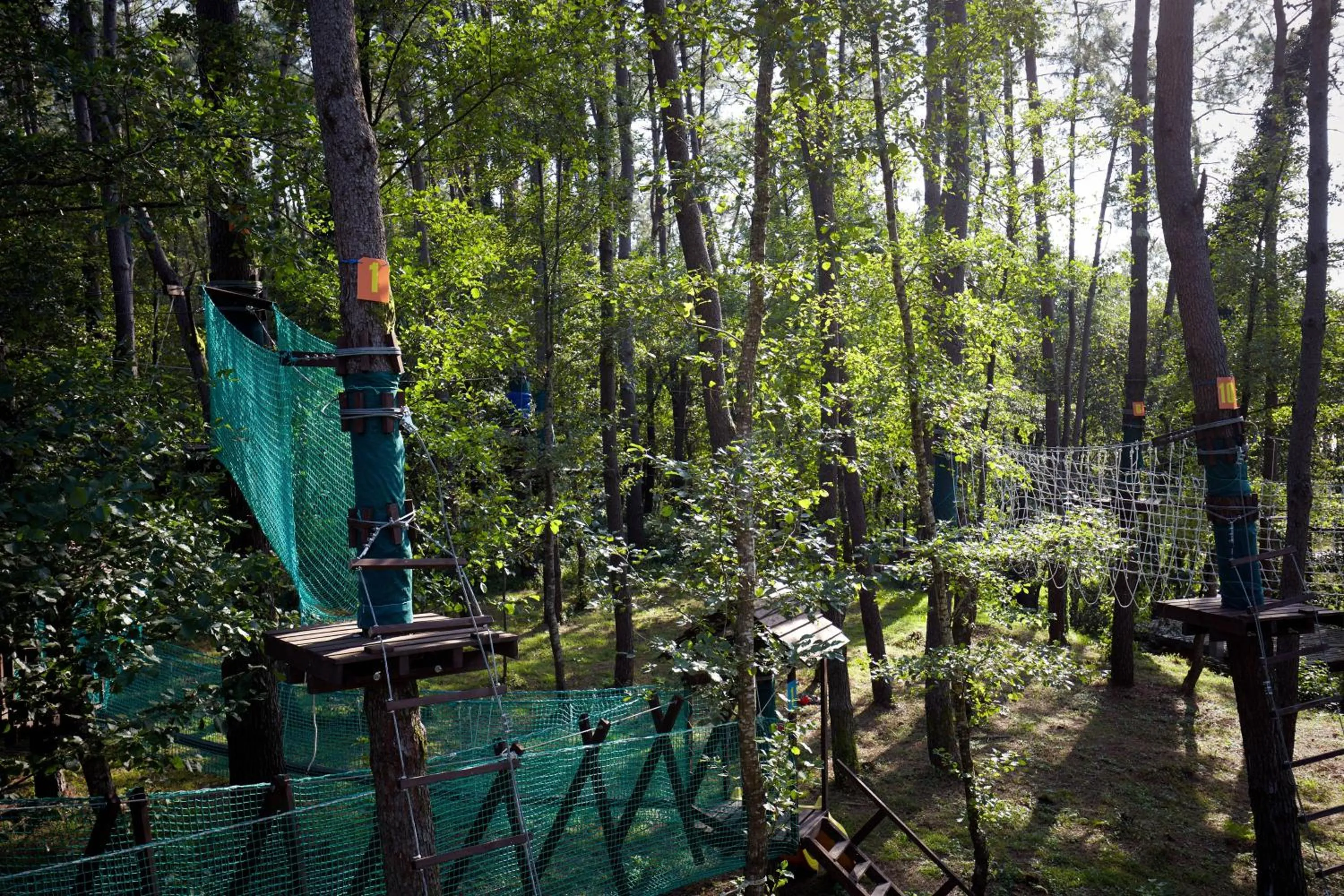 Other in Paragraph Resort & Spa Shekvetili, Autograph Collection