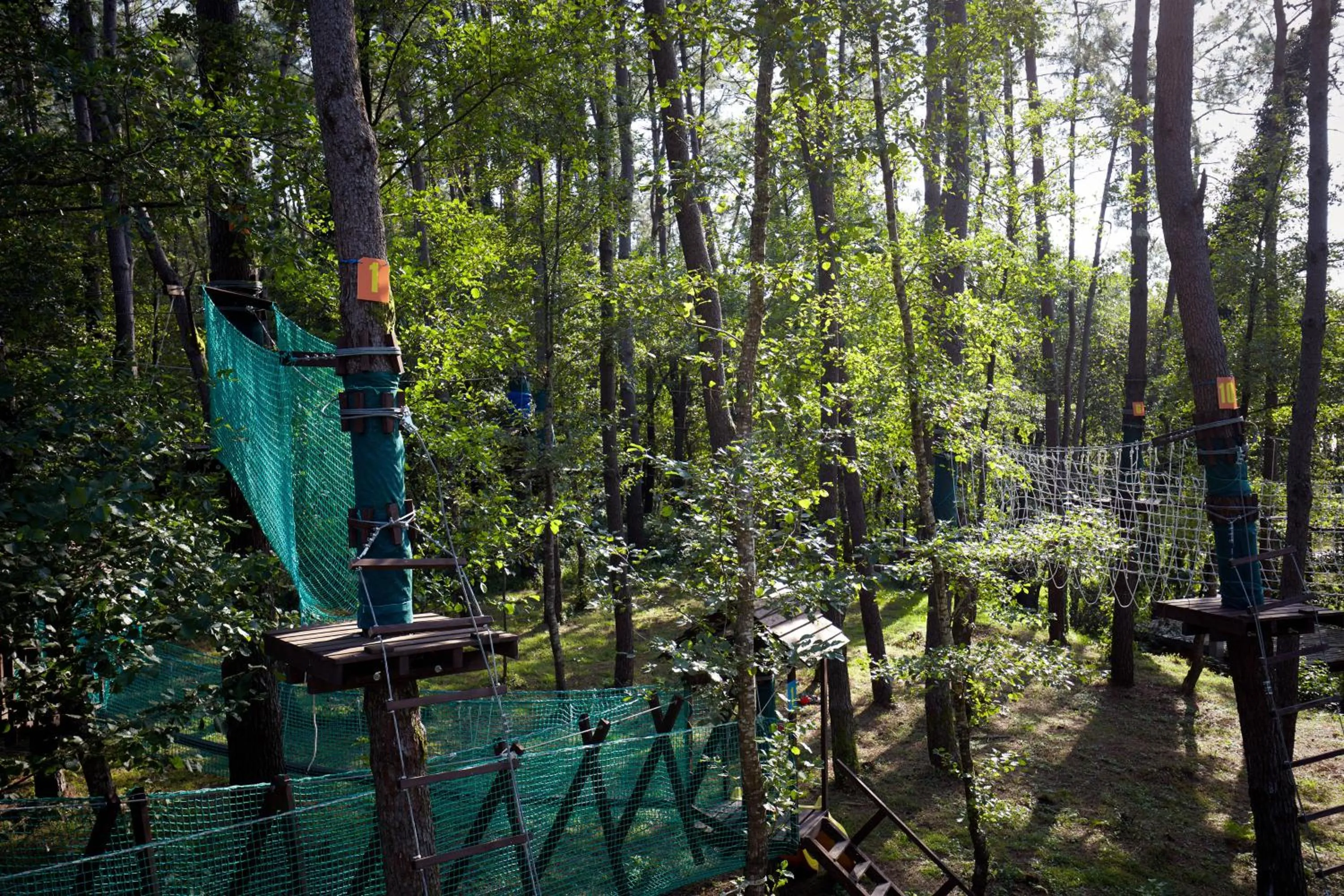 Other in Paragraph Resort & Spa Shekvetili, Autograph Collection